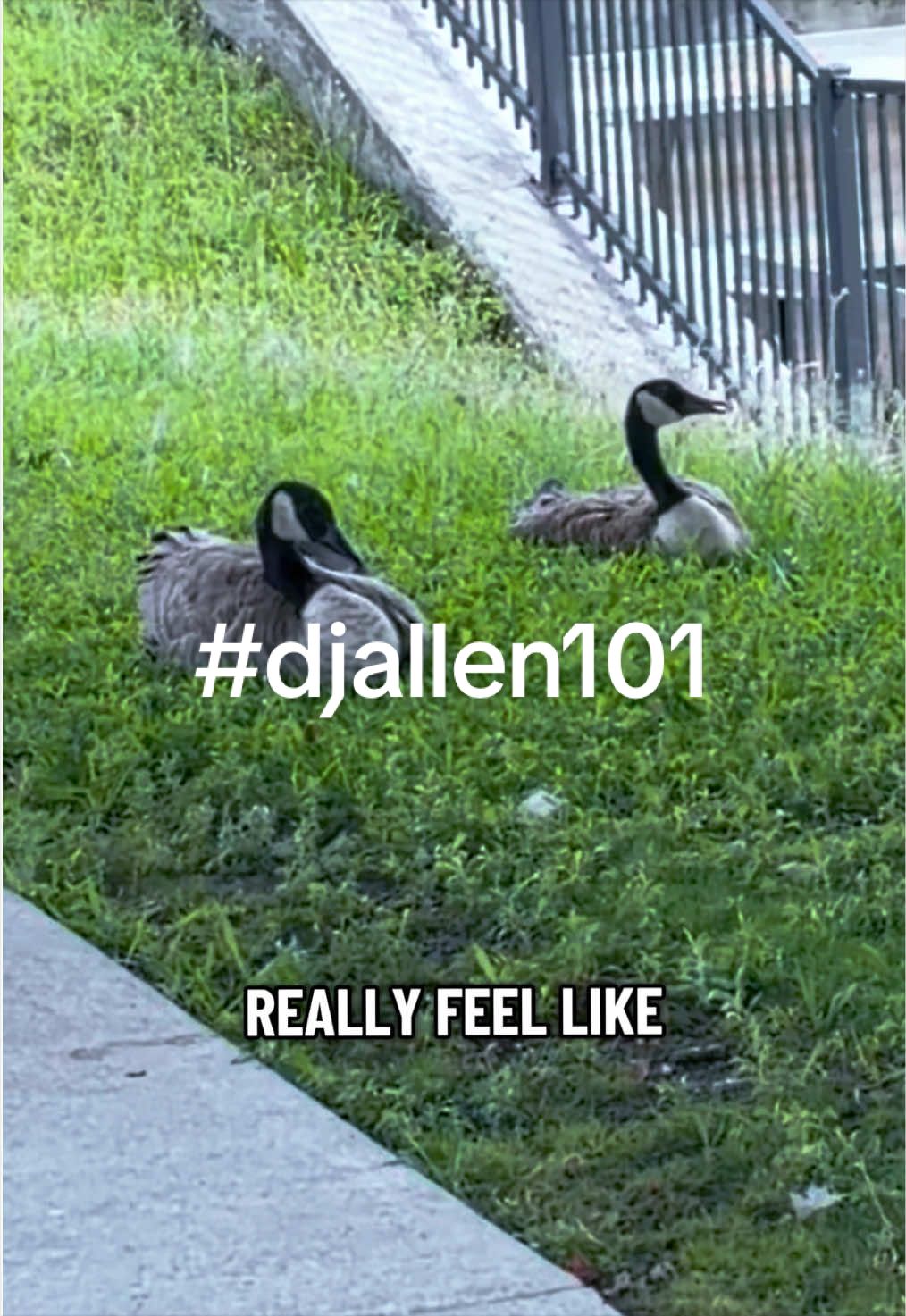 @Dj. Allen