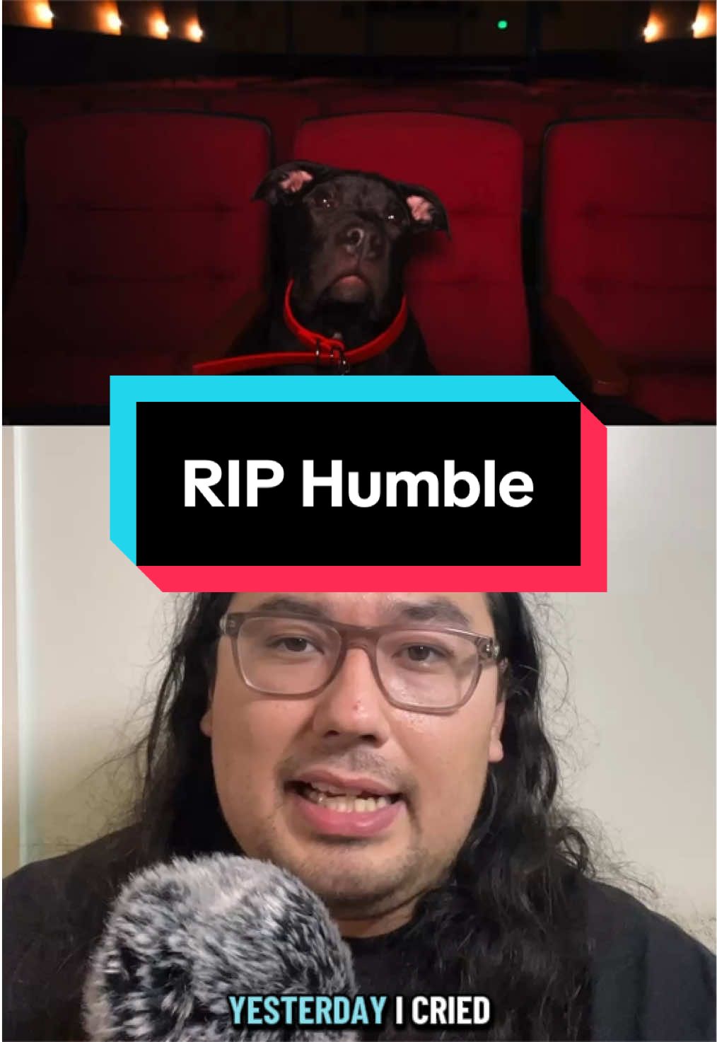 @YT/IG:moviegoodormoviebad
