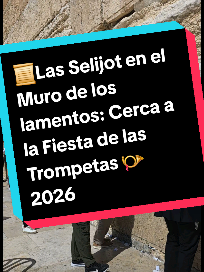 @Miguel S&aacute;nchez &Aacute;vila