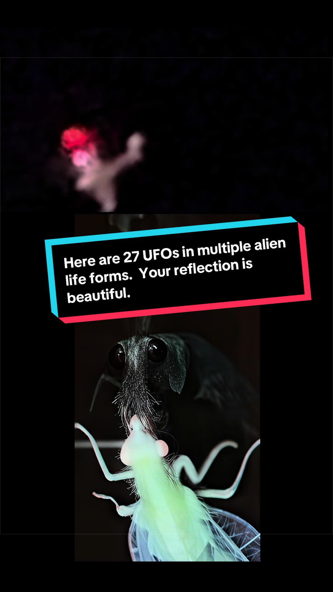 @universeisherenow