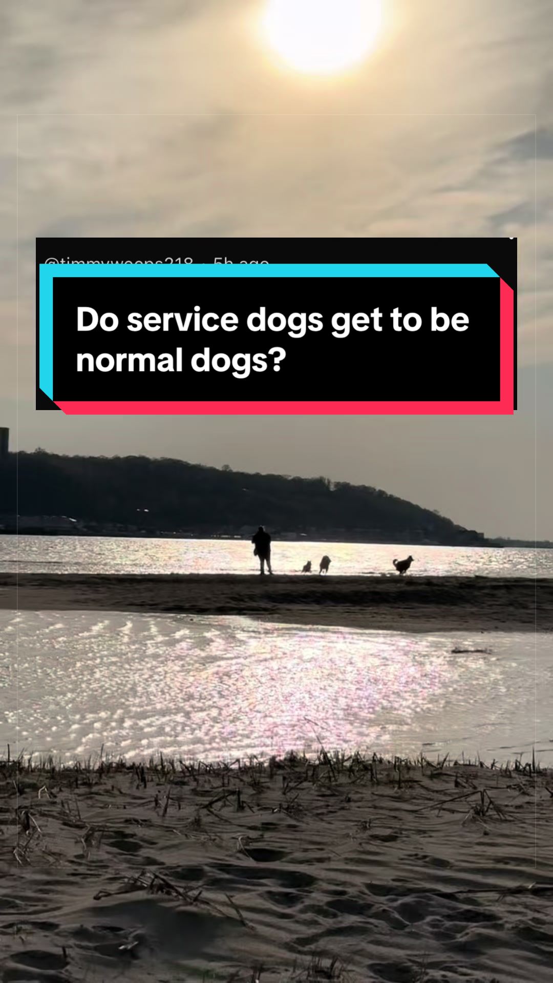 @Dakota & Pups