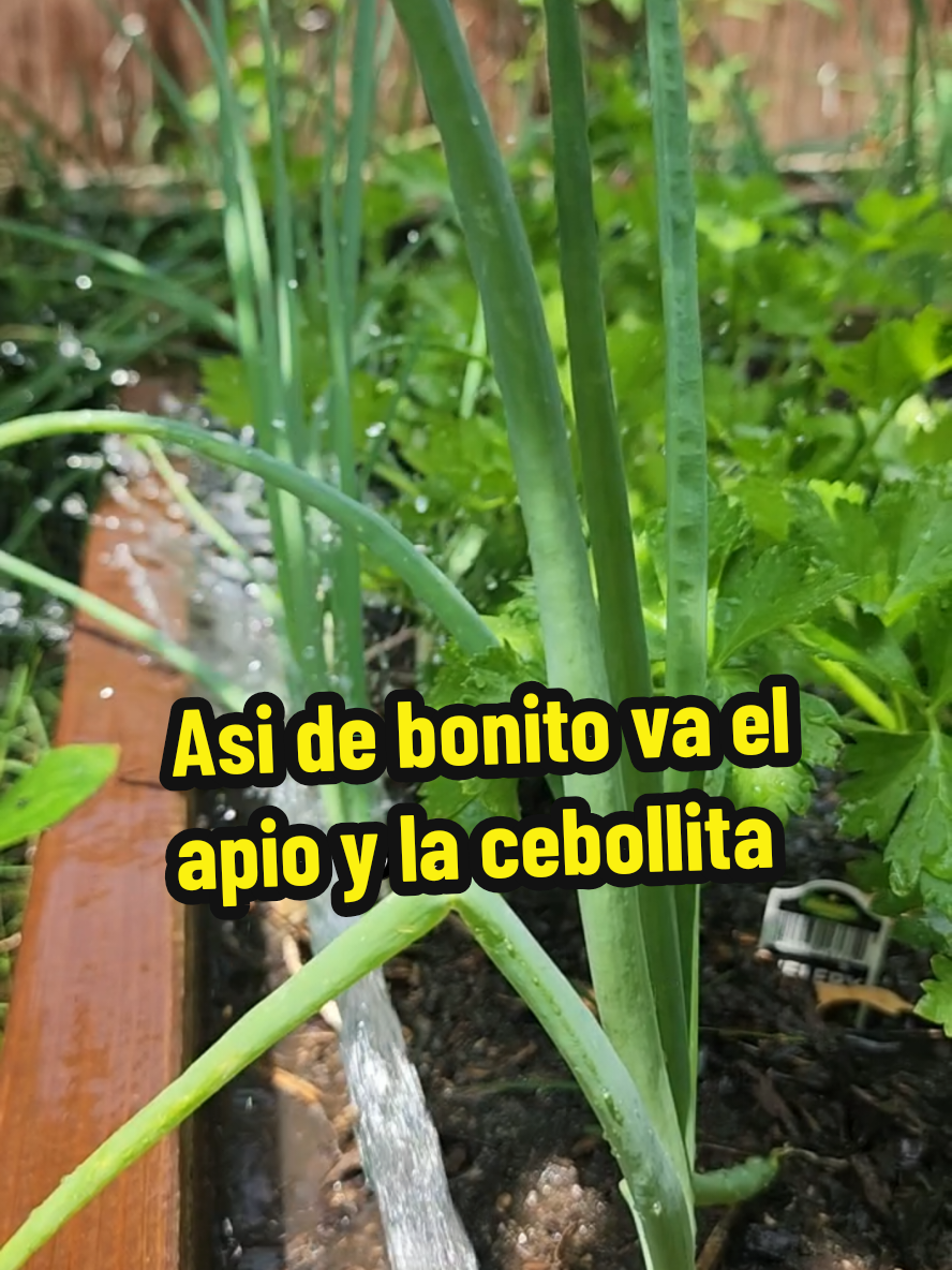 @Mi Rincón Favorito