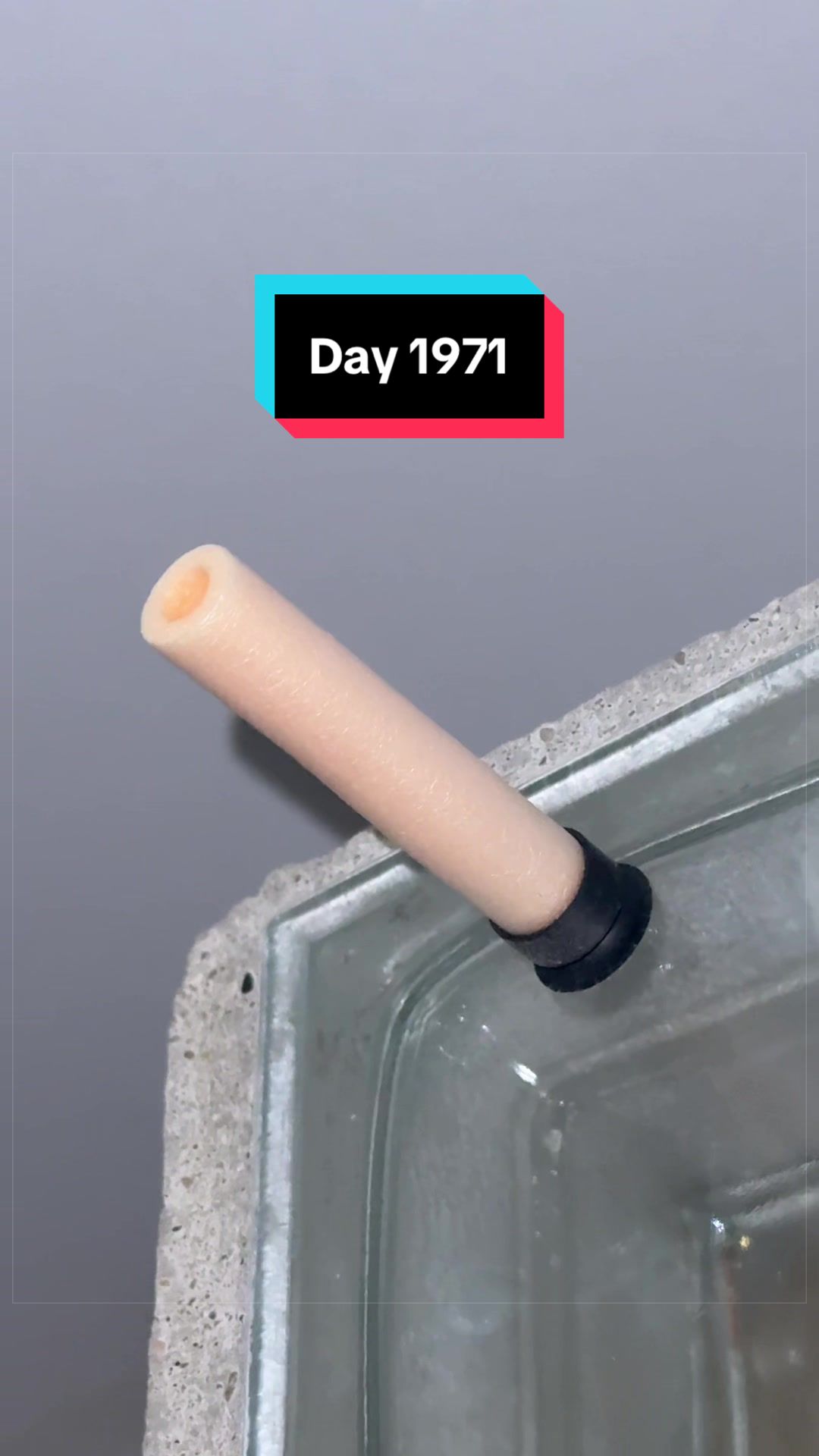 @The Immortal Nerf Dart