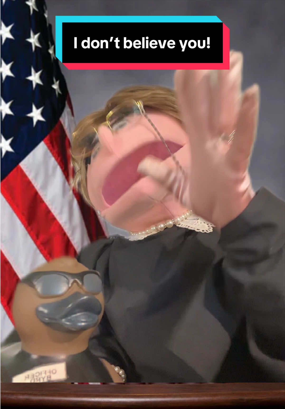 @Judy the Judgey Puppet Show