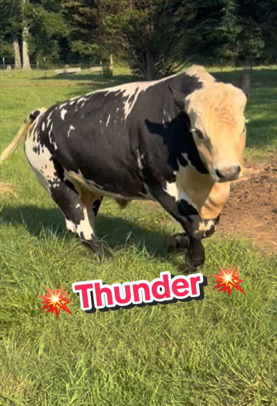 @Georgia Farm Girl