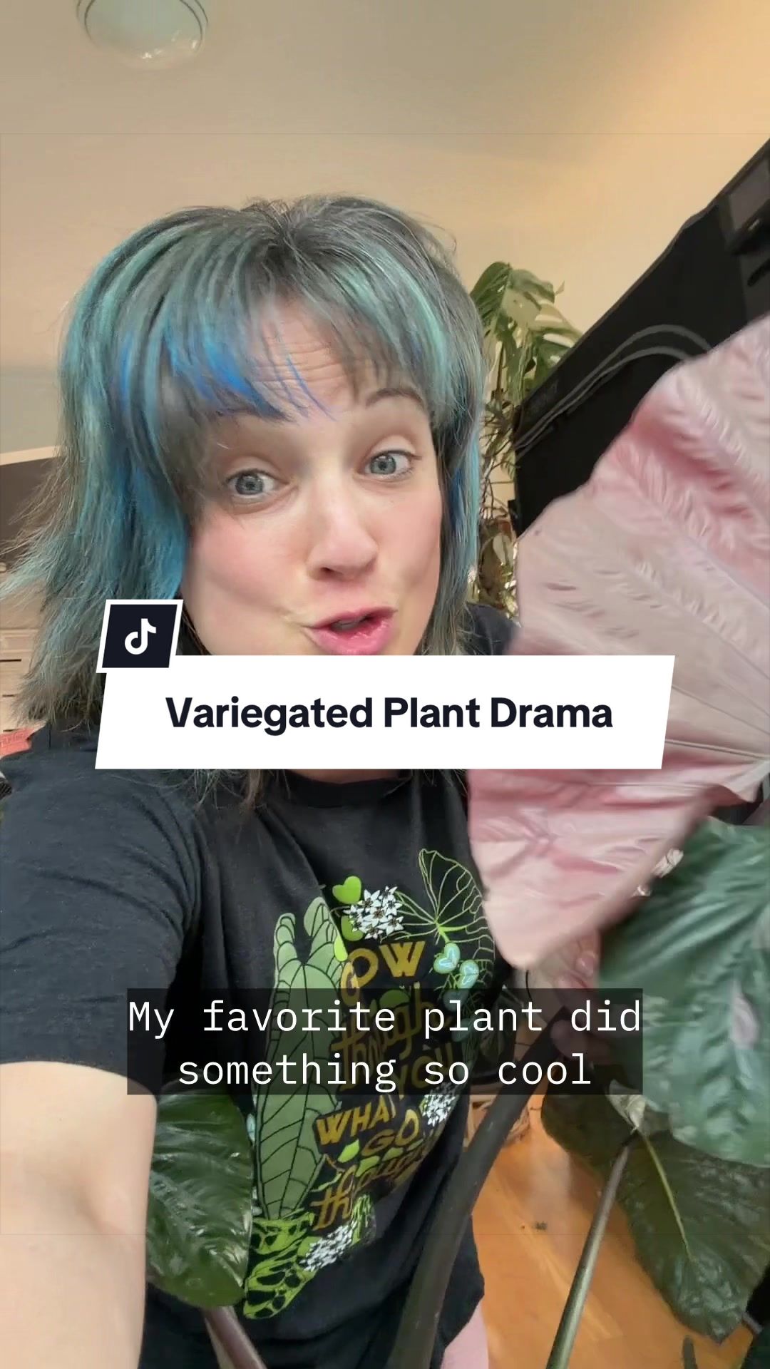 @alltheplantbabies
