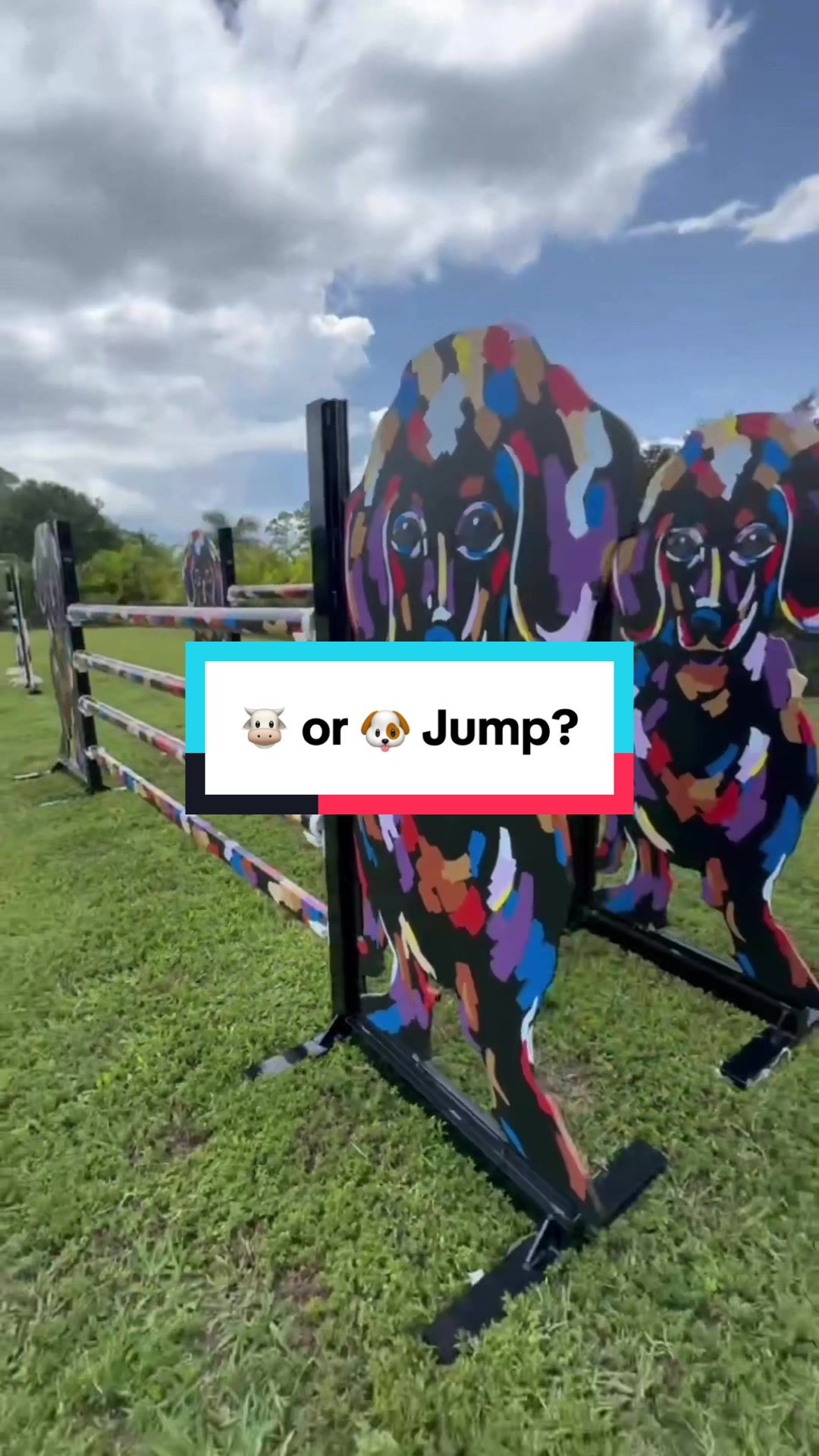 @Dalman Jump Co