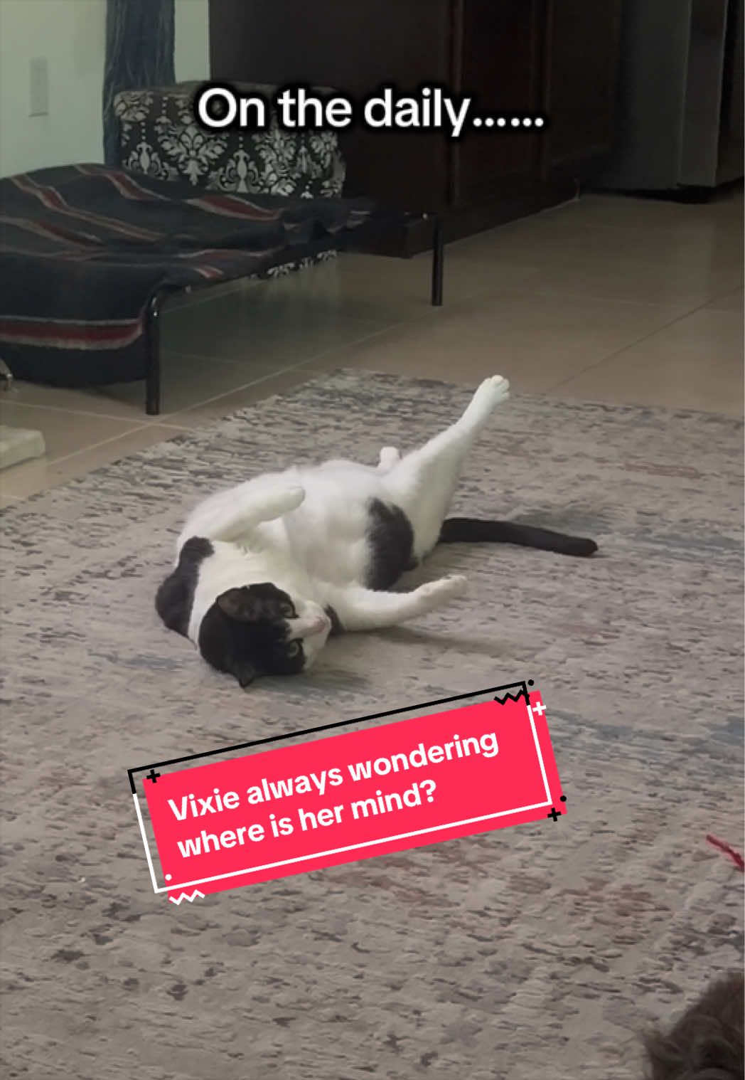 @Kylo the werewolf dog