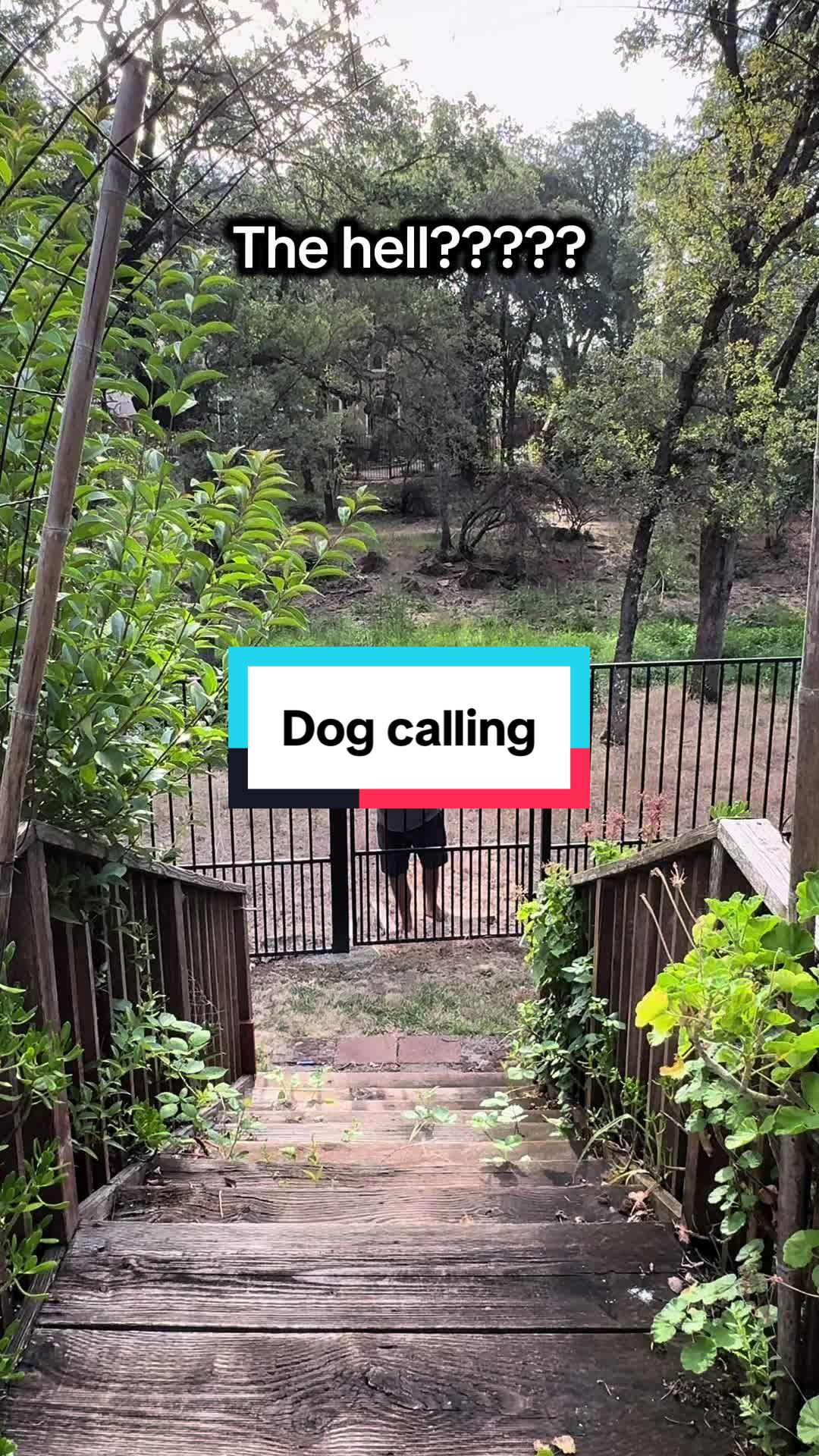 @VoiceAndVigor