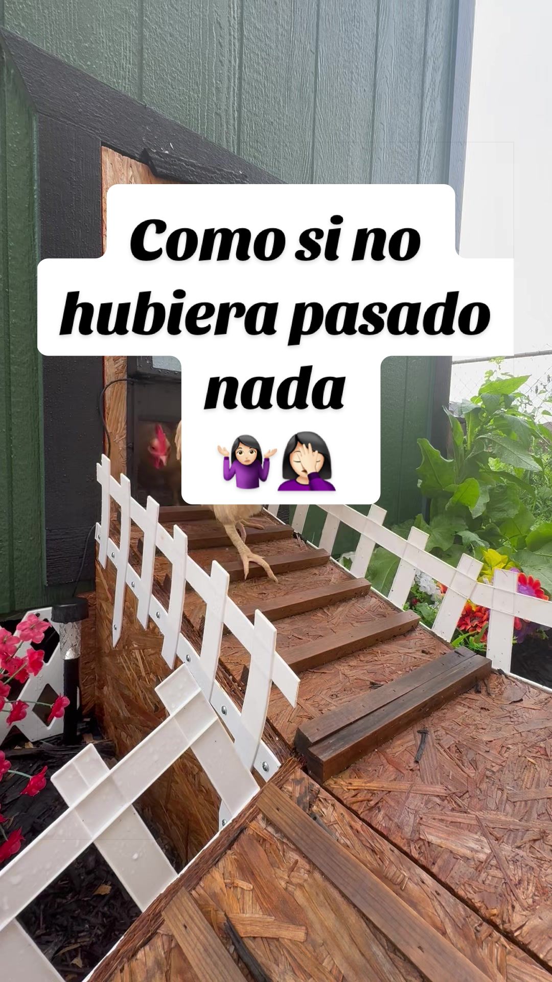 @Elianne Martinez