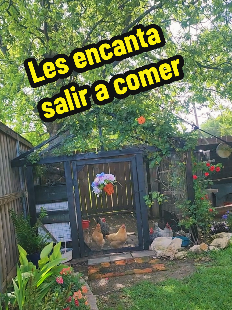@Mi Rincón Favorito