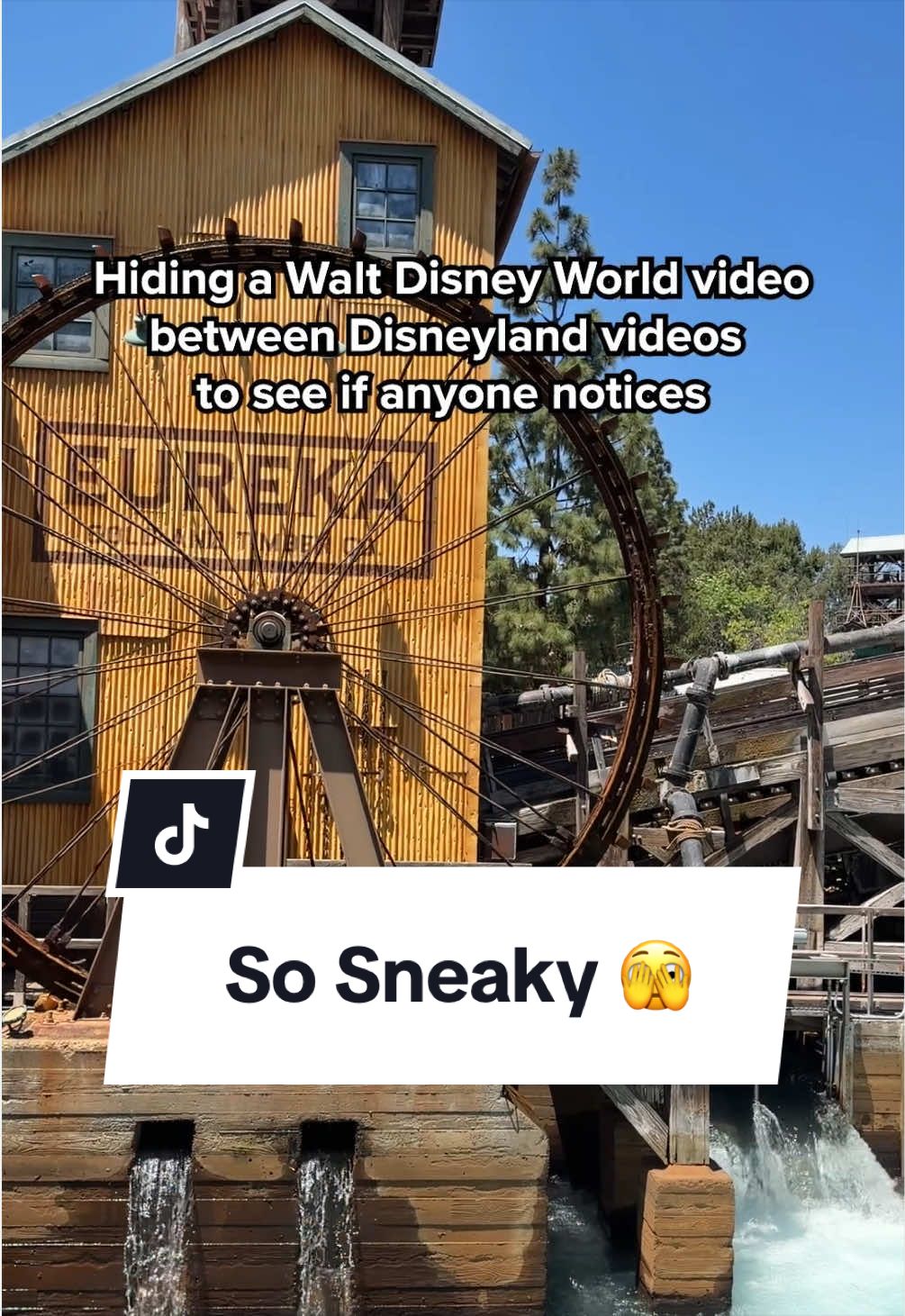 @Disney Parks