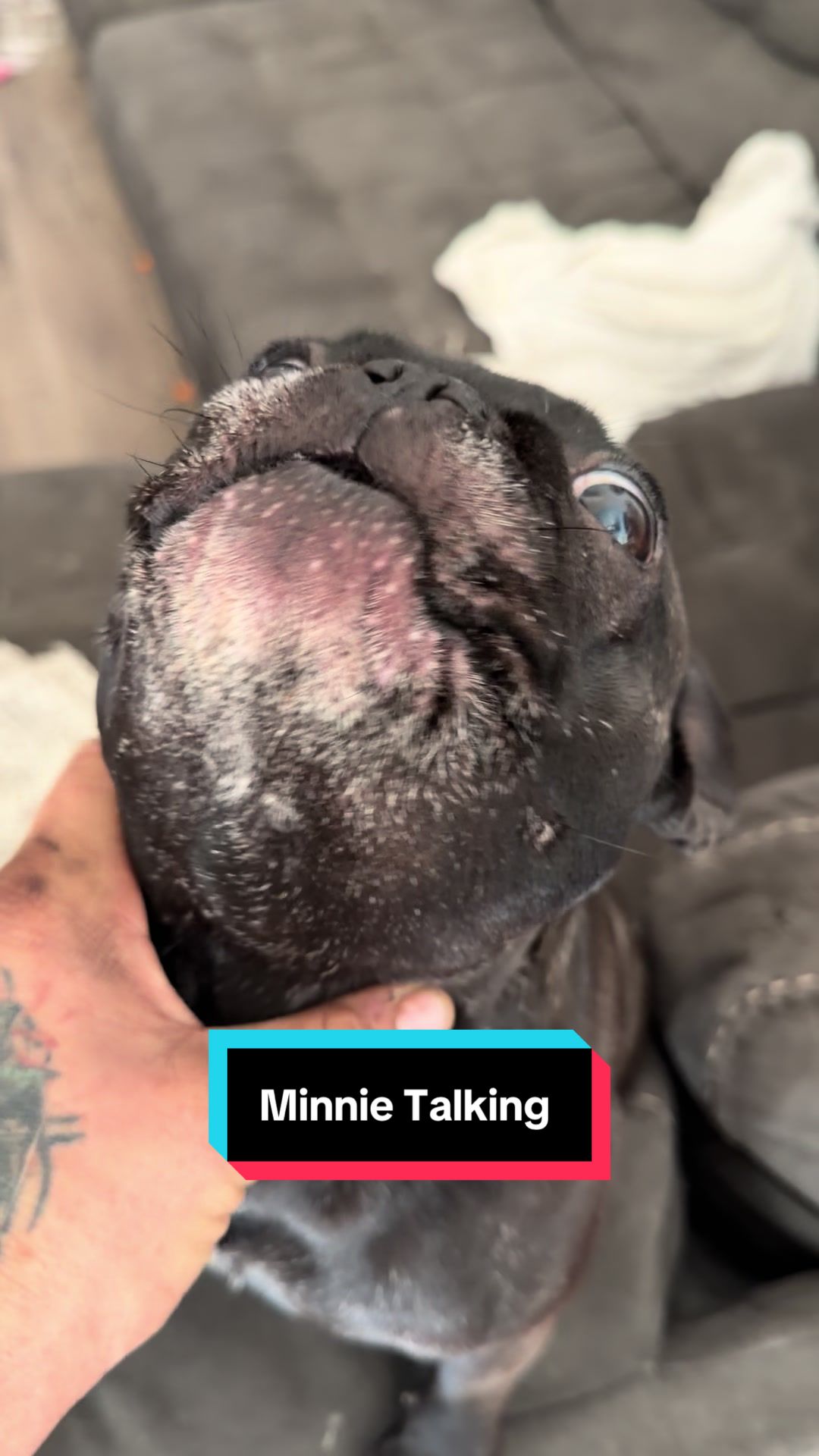 @minniecantalk