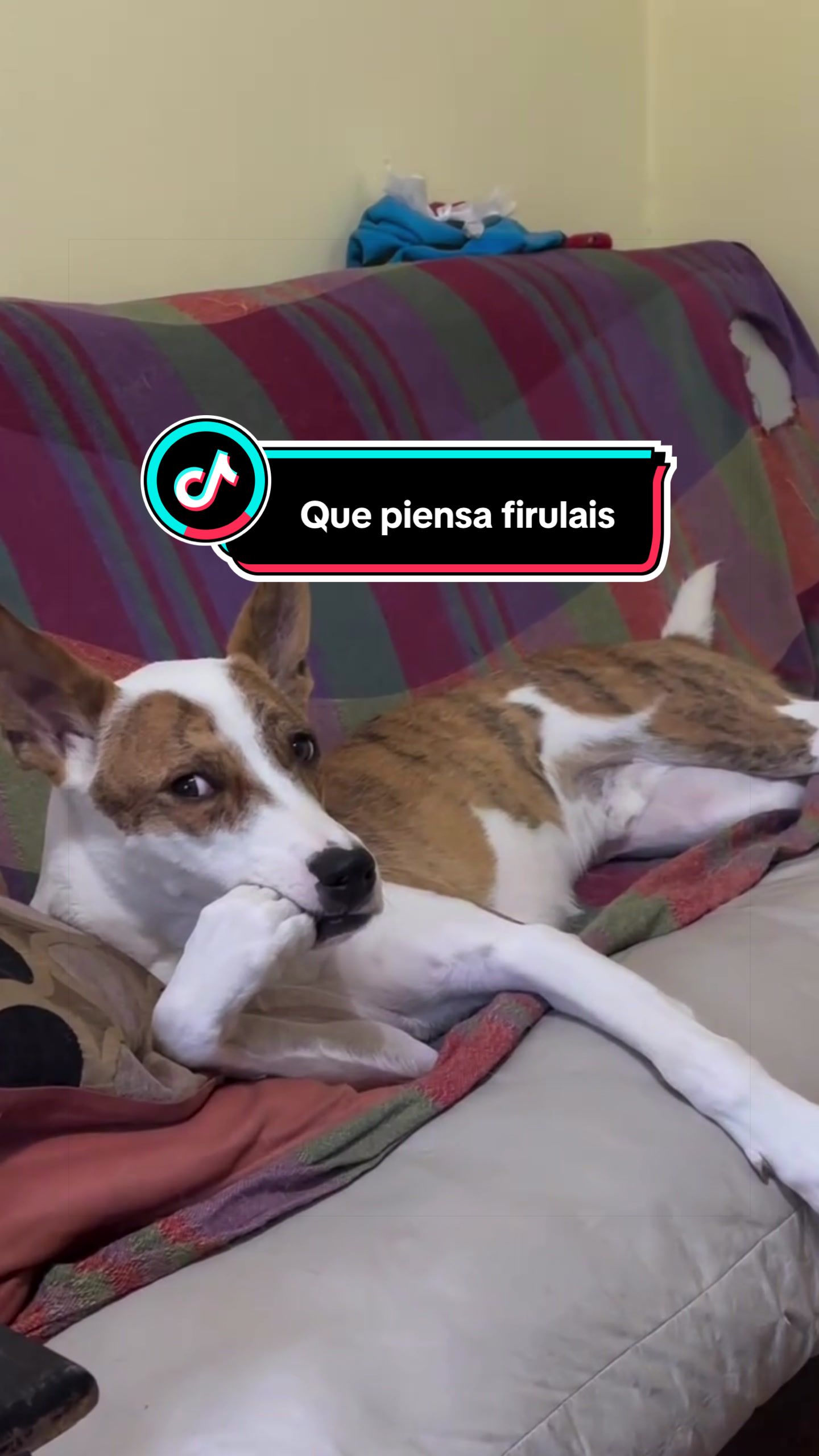 @@Eltopdetiktokoficial