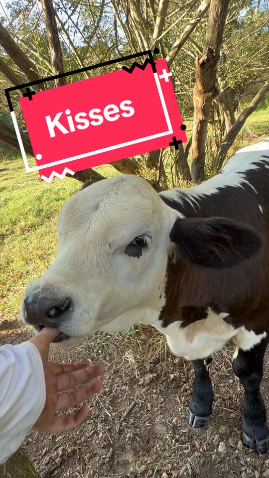 @Georgia Farm Girl