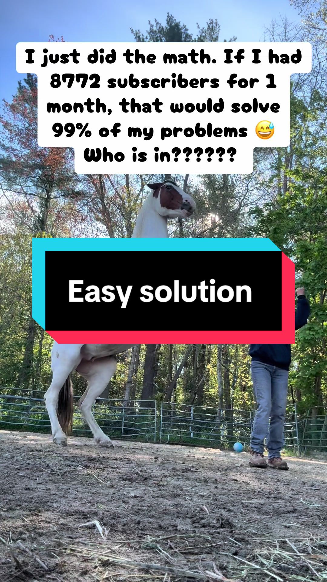 @Sandra&rsquo;s pale herd 🐴