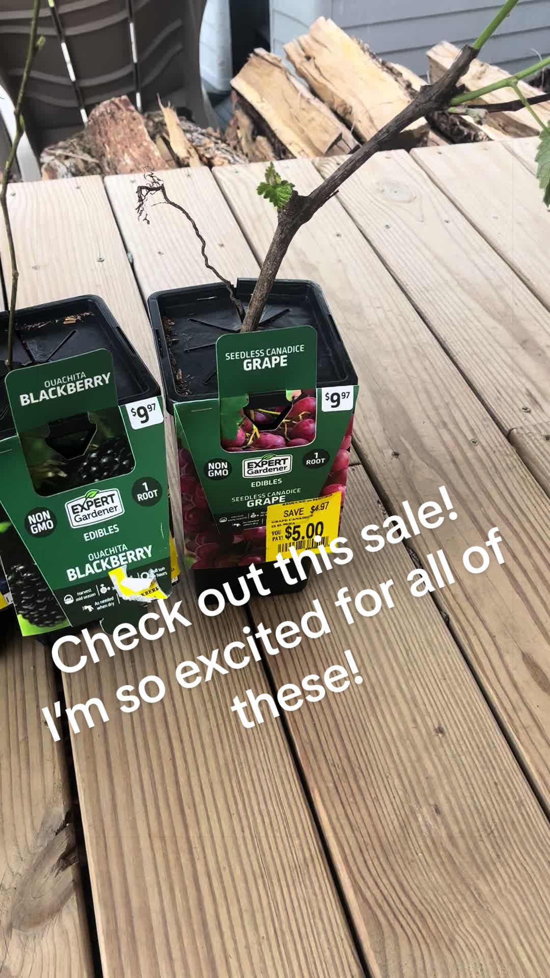 @probablyoverwatering