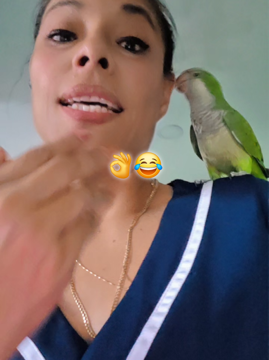 @PERLA💚🧃🐕🦜🕷🐘❤️OFFICIAL🤪