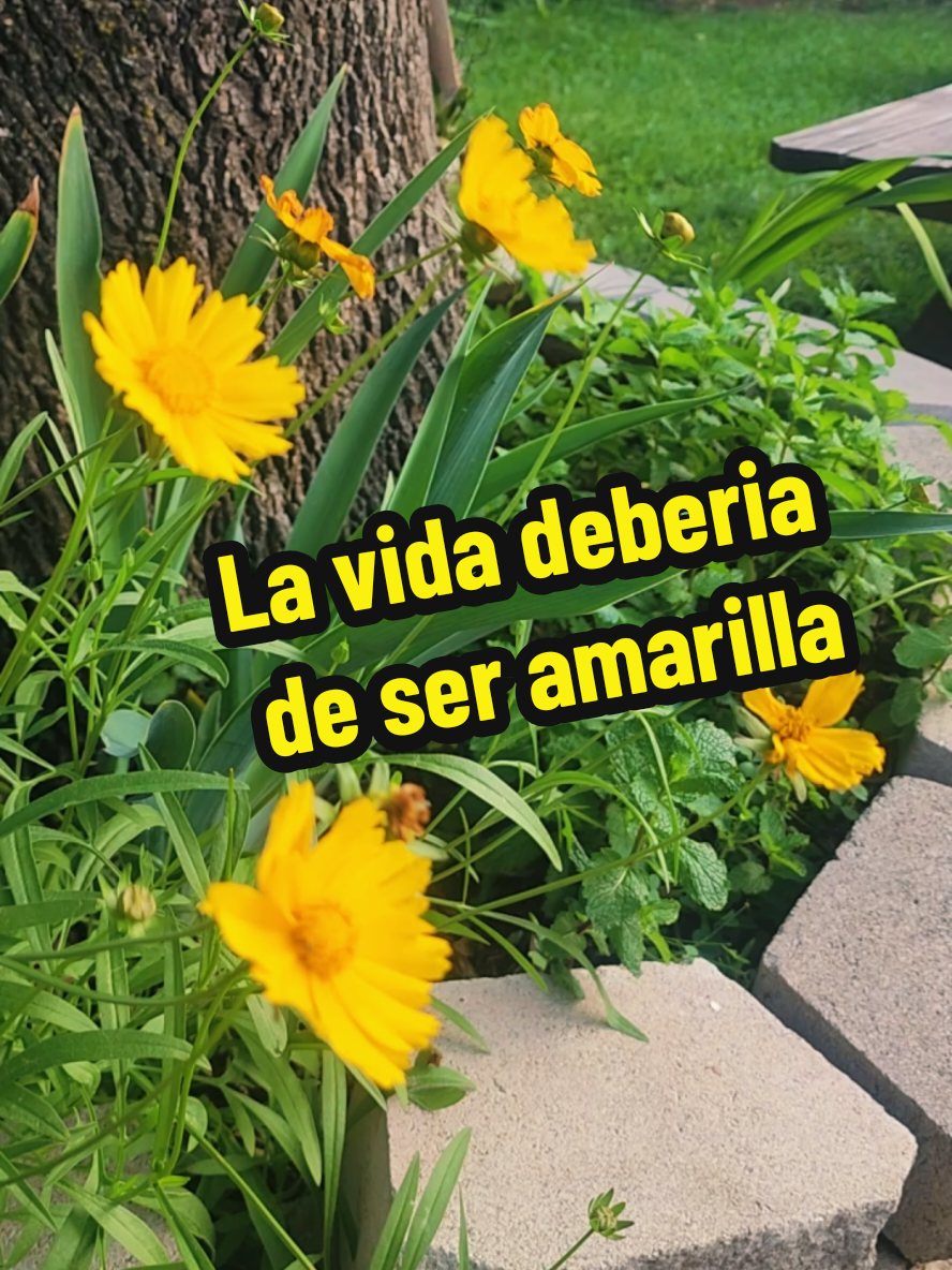 @Mi Rincón Favorito