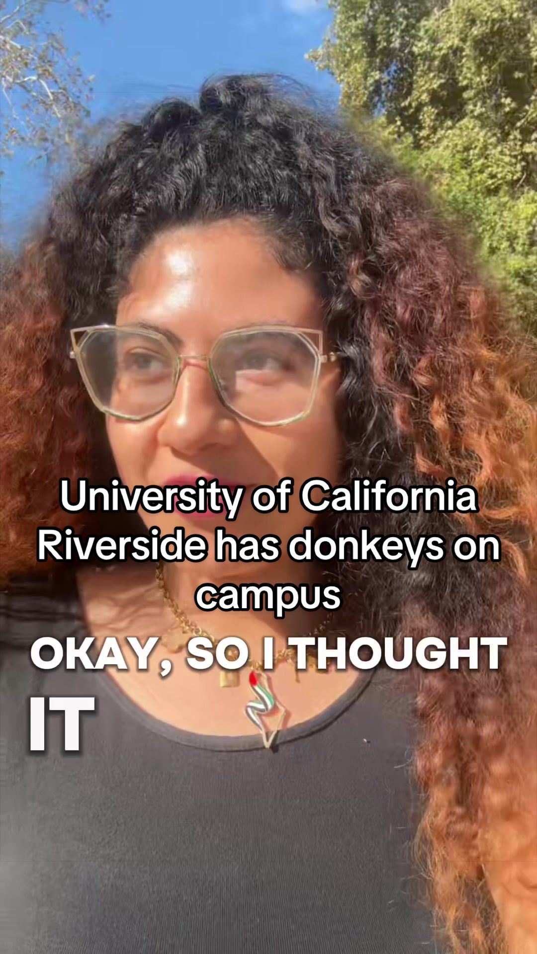 @browneyescurlyfries