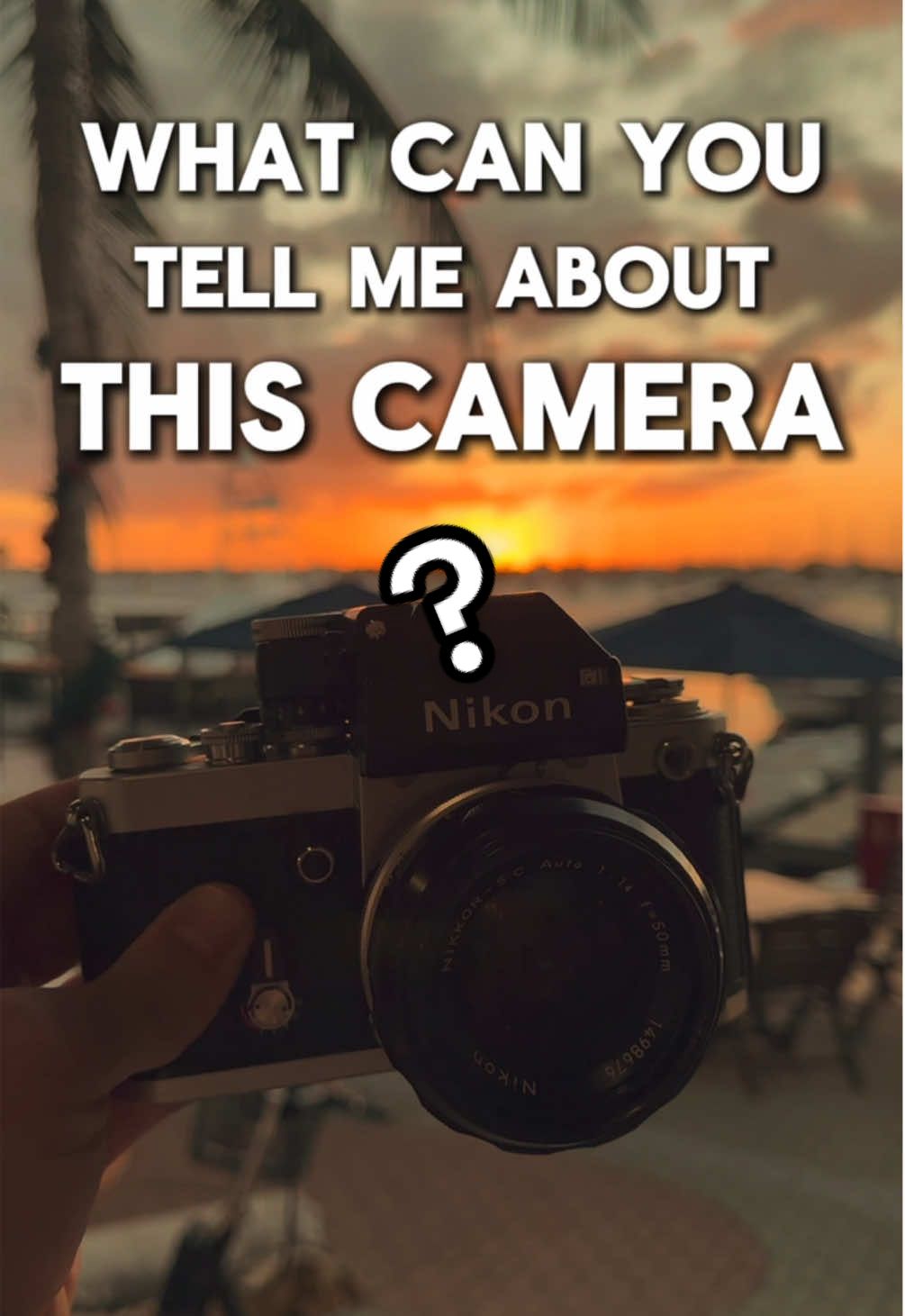 @takos.jpg