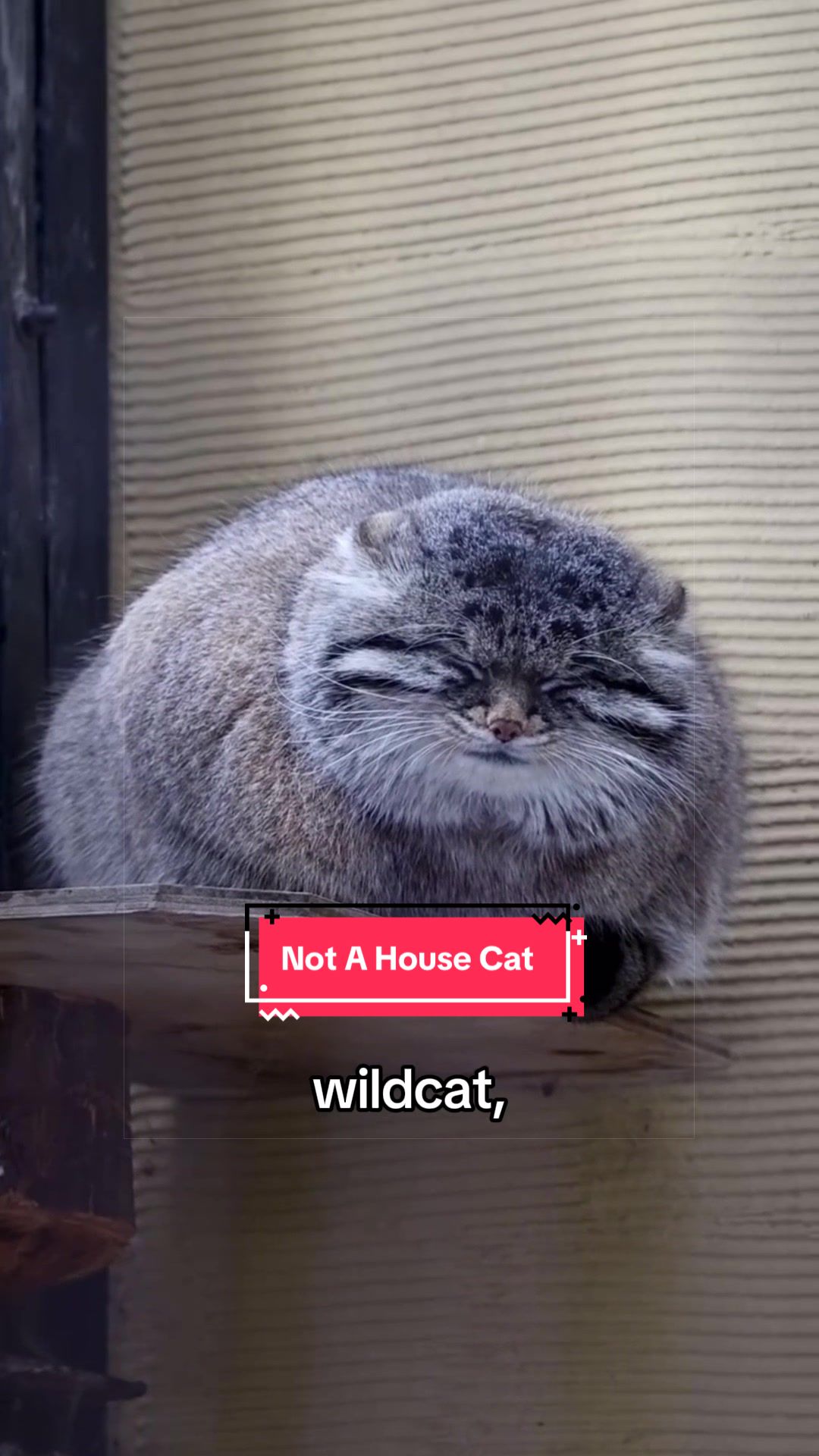@Snugbarn