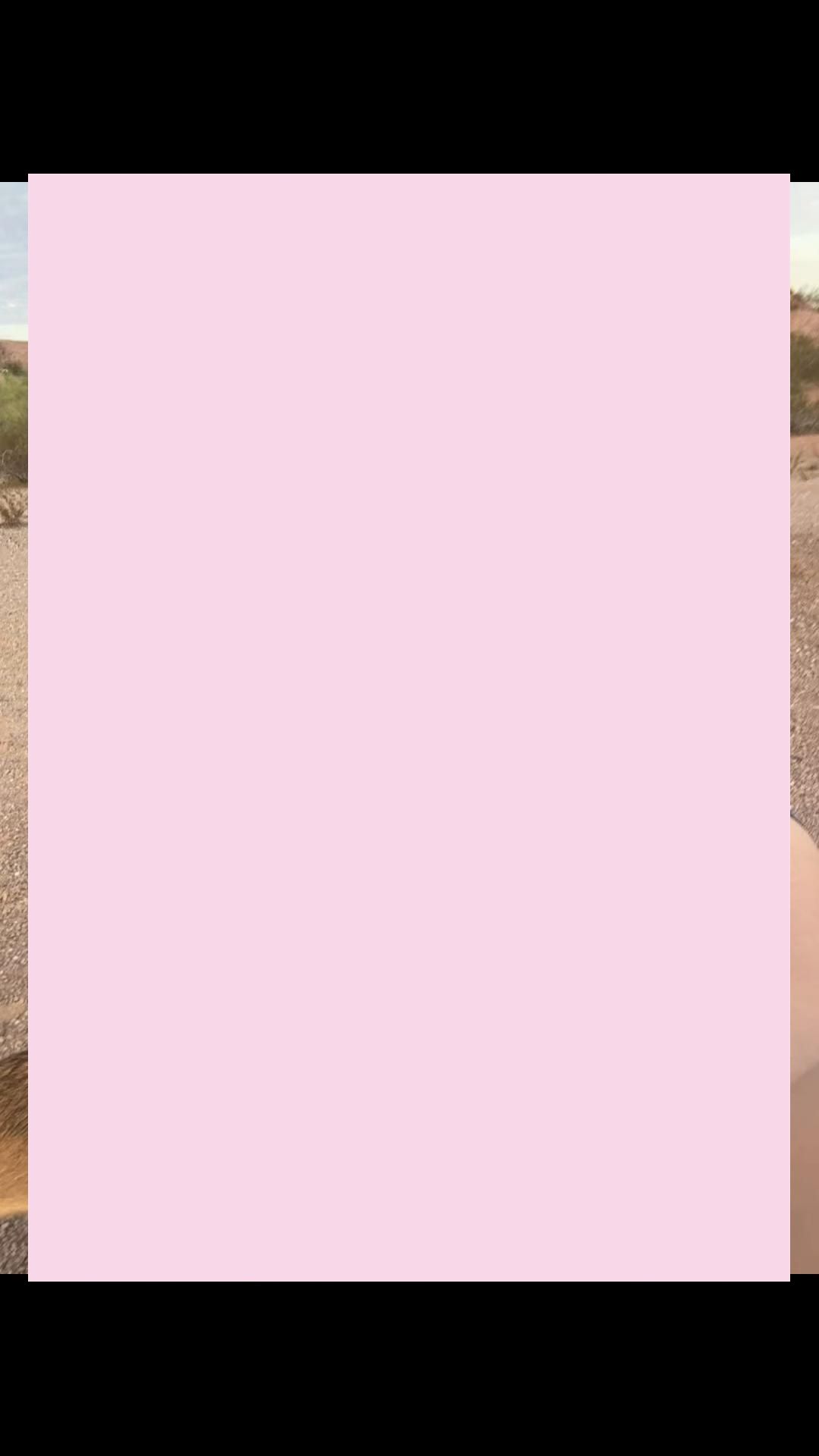 @user not found.