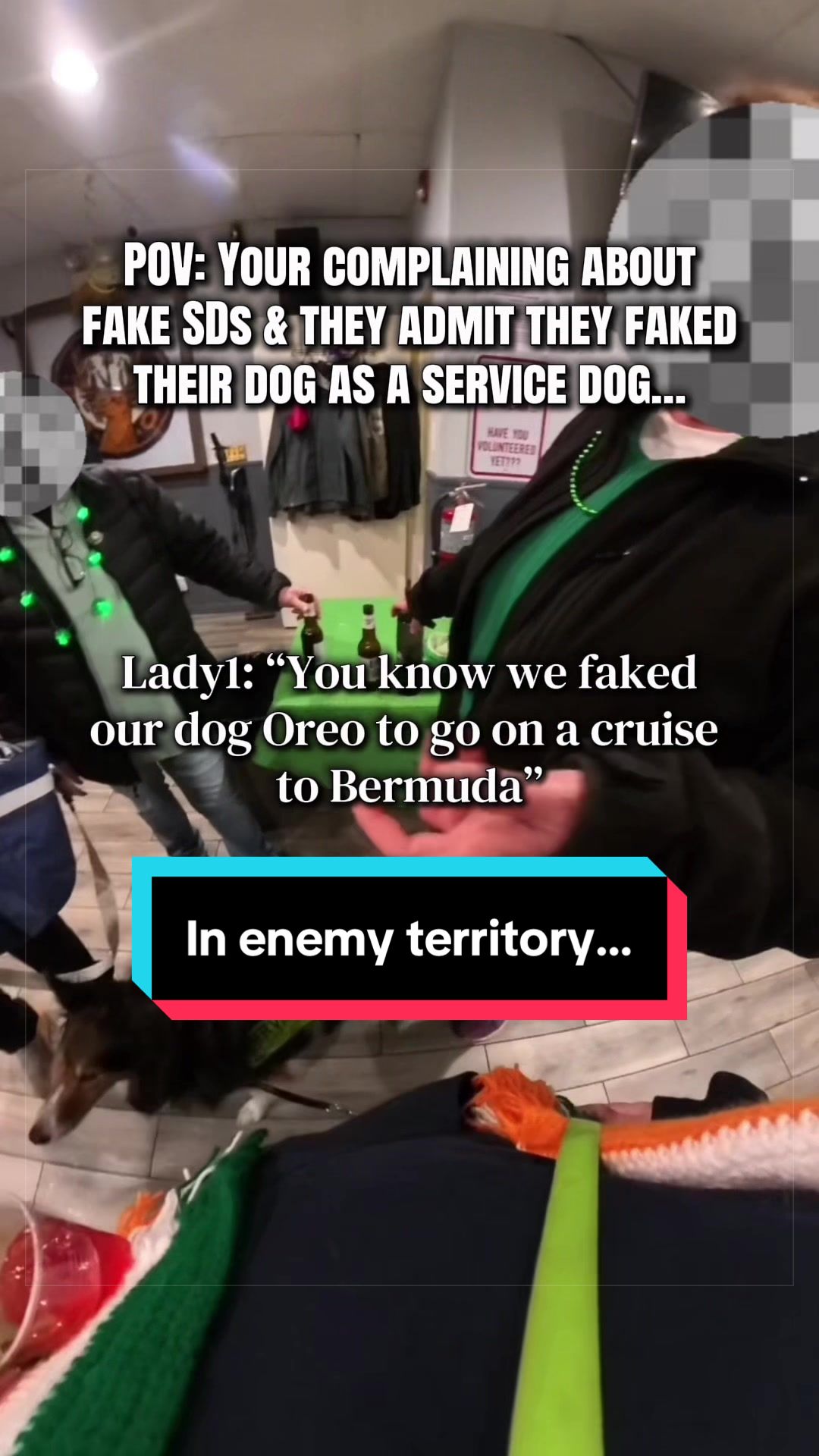 @Dakota & Pups
