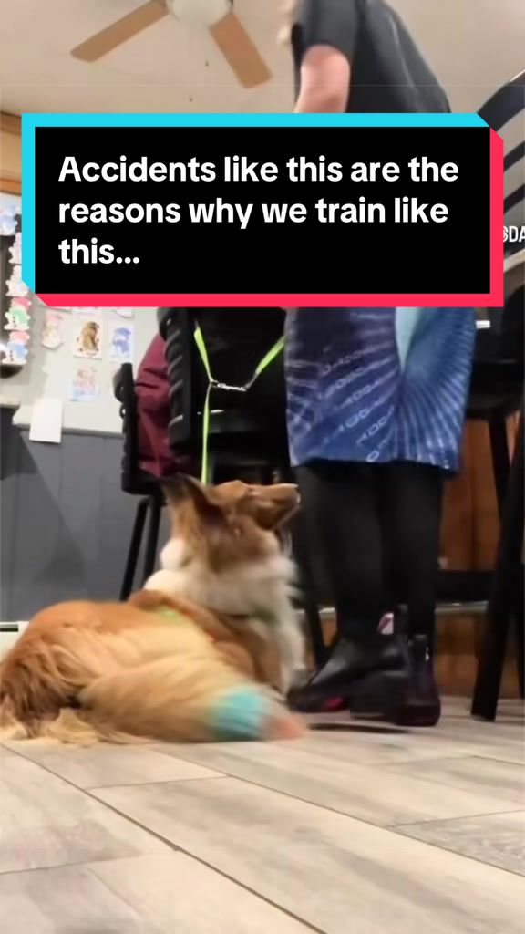 @Dakota & Pups