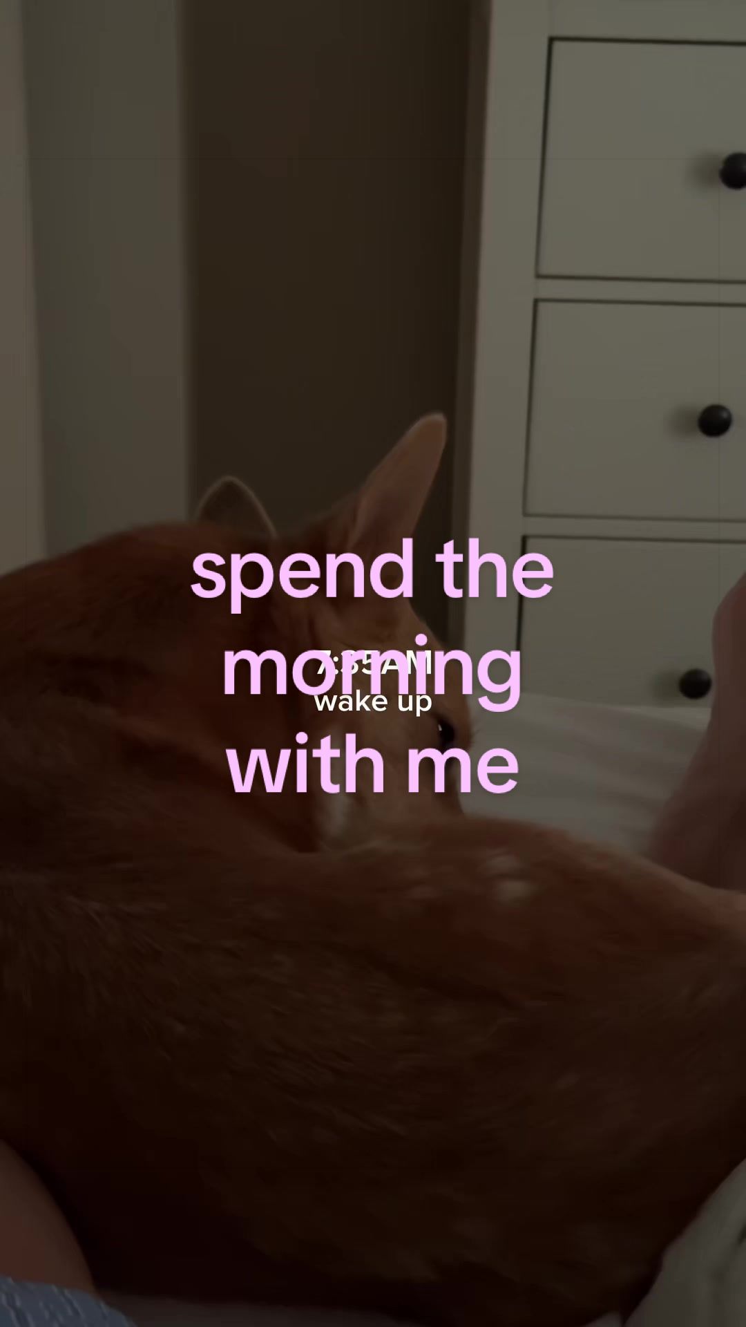 @NORMA ALEXA