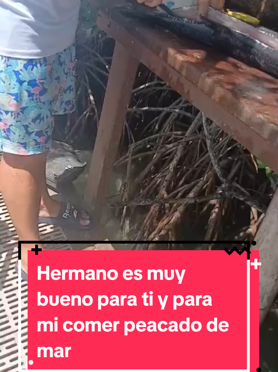 @vvdiasdplaya