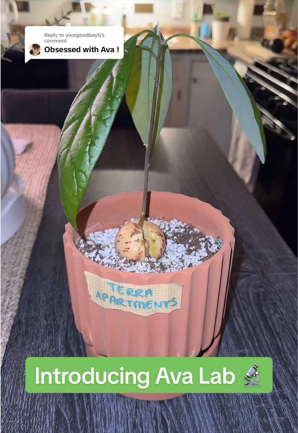 @Niki P - Ava’s Mom 🥑🌱