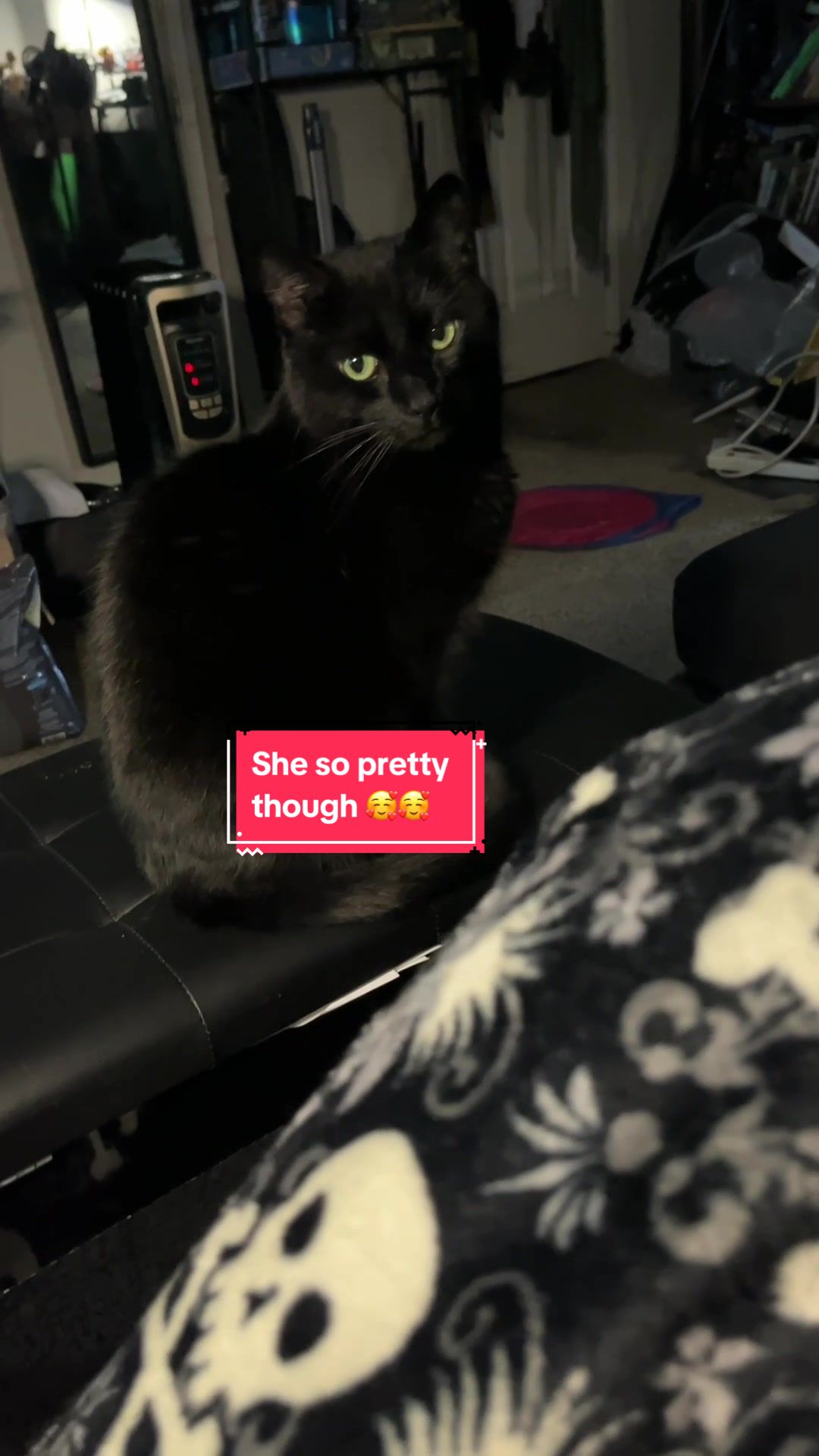 @Teaweaselstopmo
