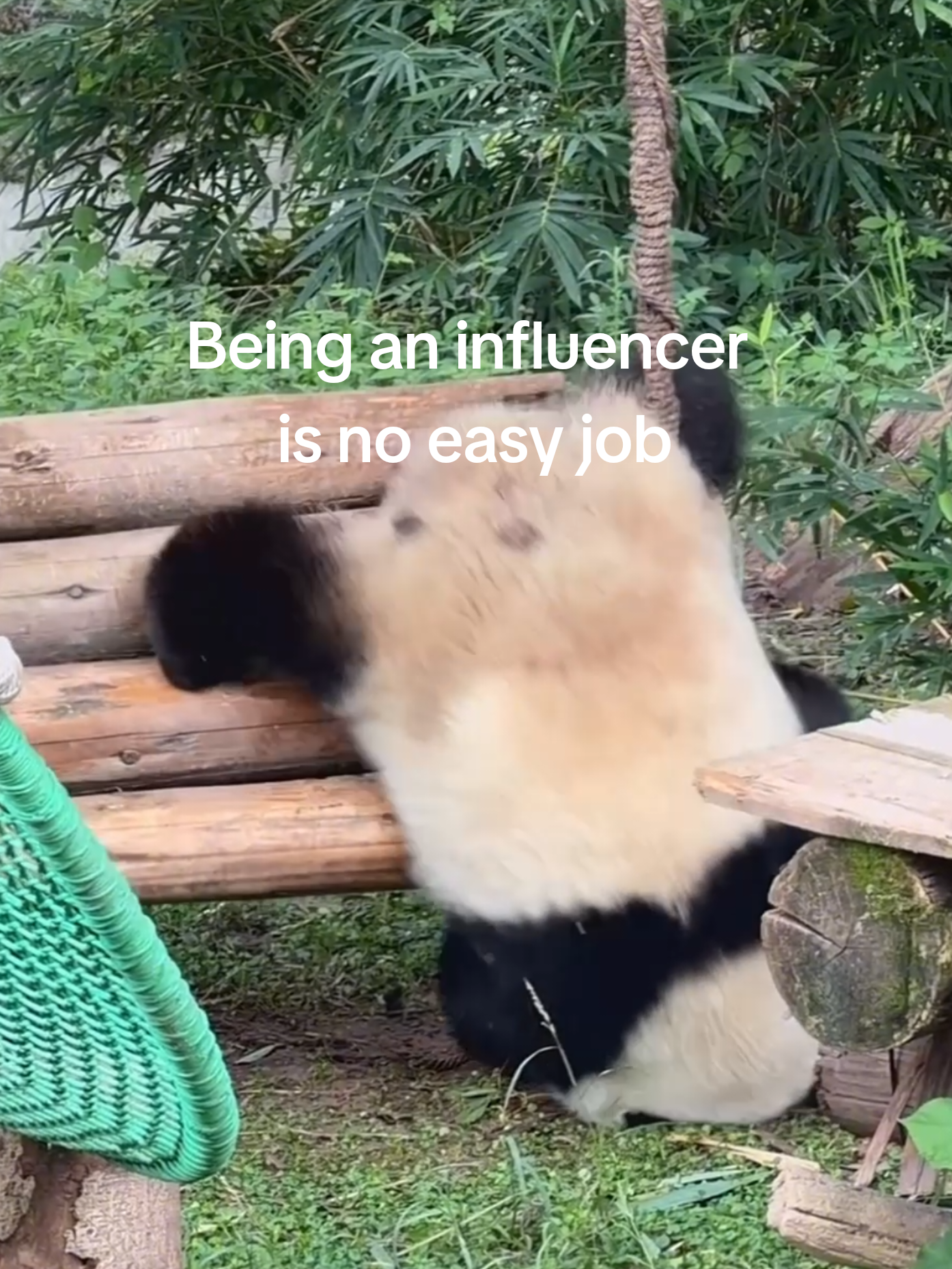 @PandaHut