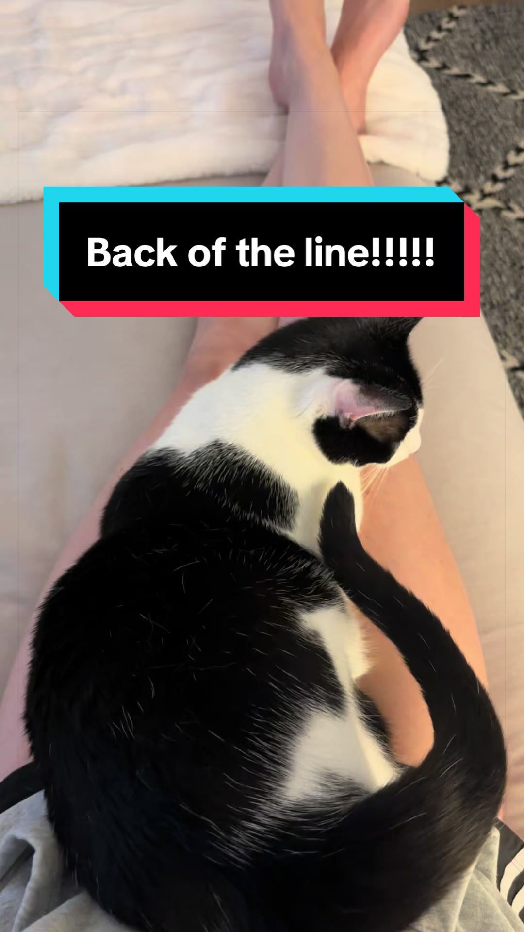 @Christina | Cat Rescue 🐾