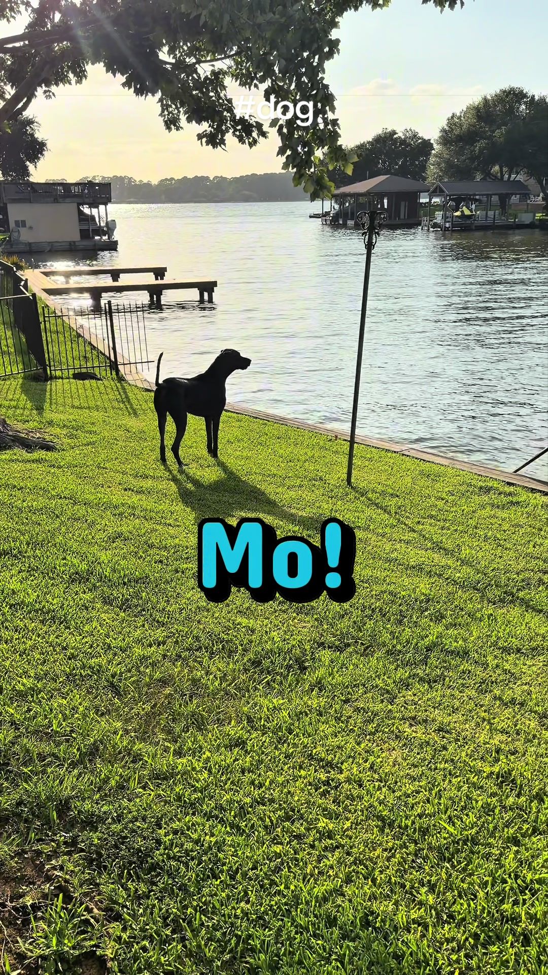 @Mo