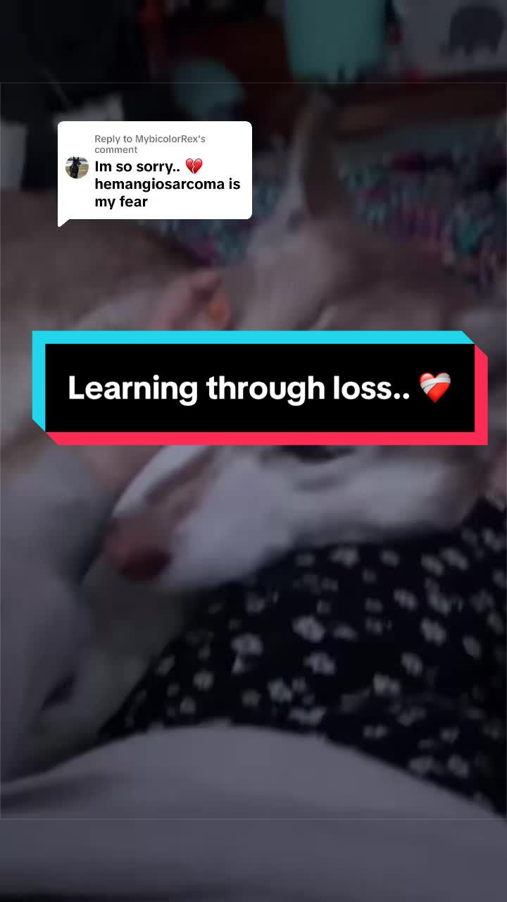 @Jeweled_trauma0619