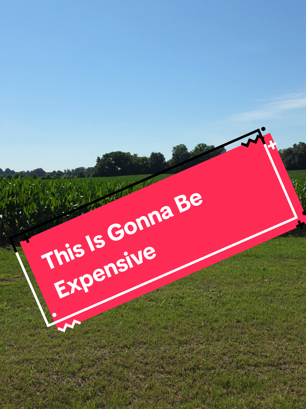 @Bushart Farms
