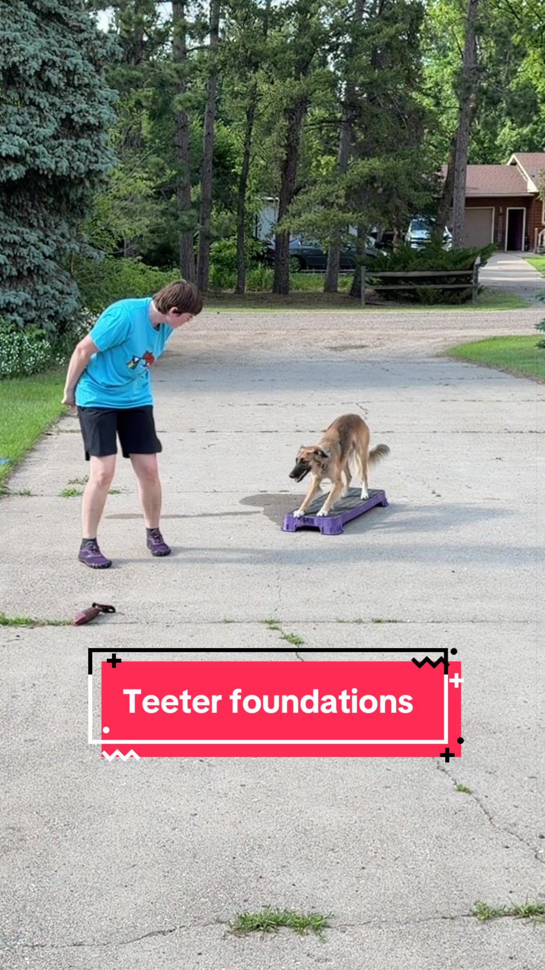 @Laura Waudby - Dog Sports