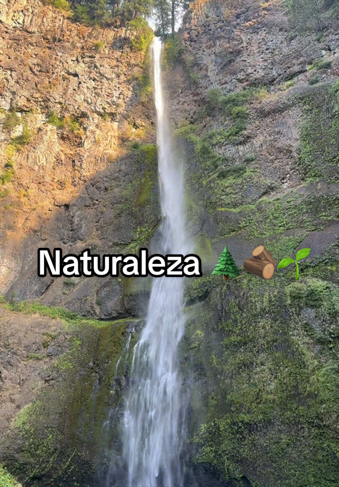@Sonia Herrejon