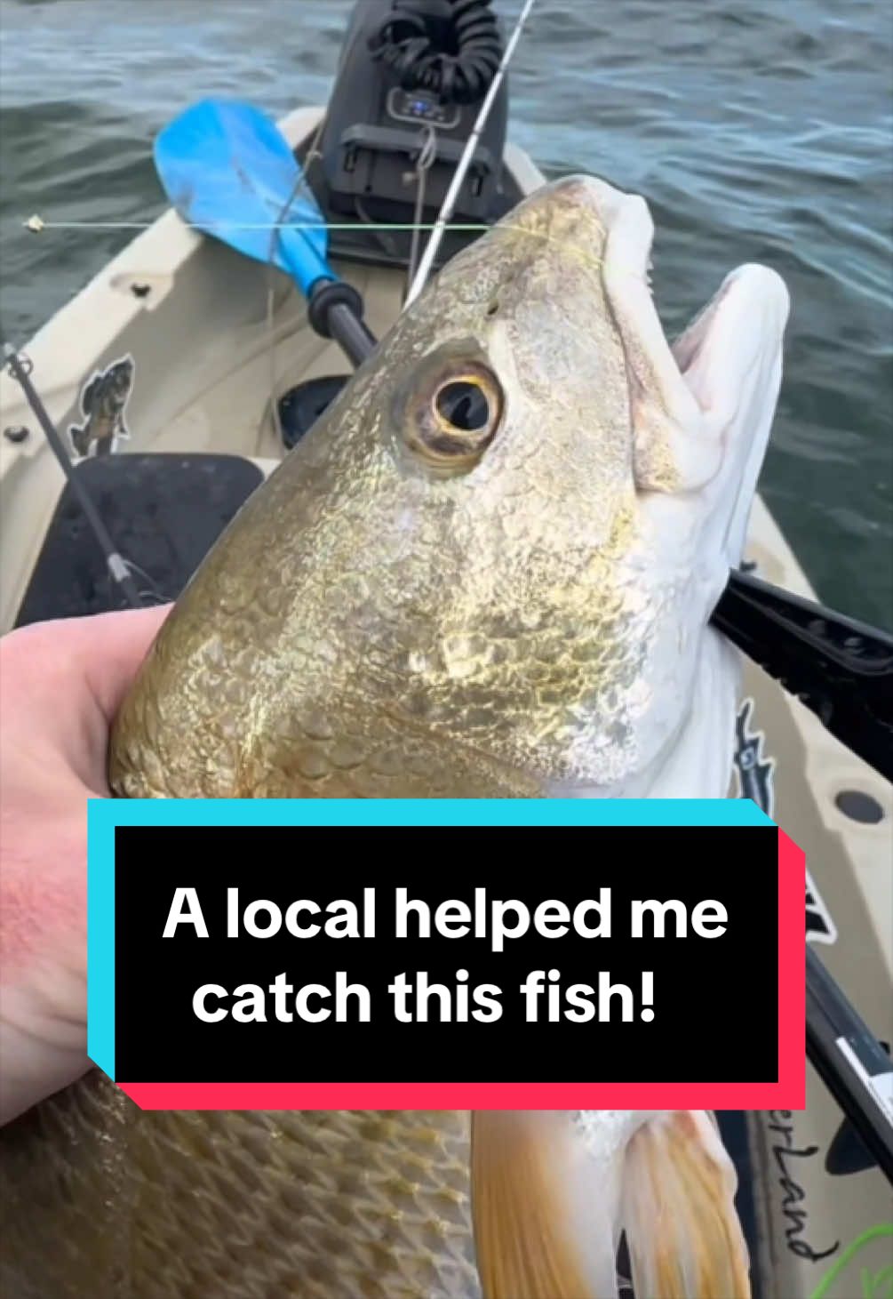 @Hunterdubs.fwtx