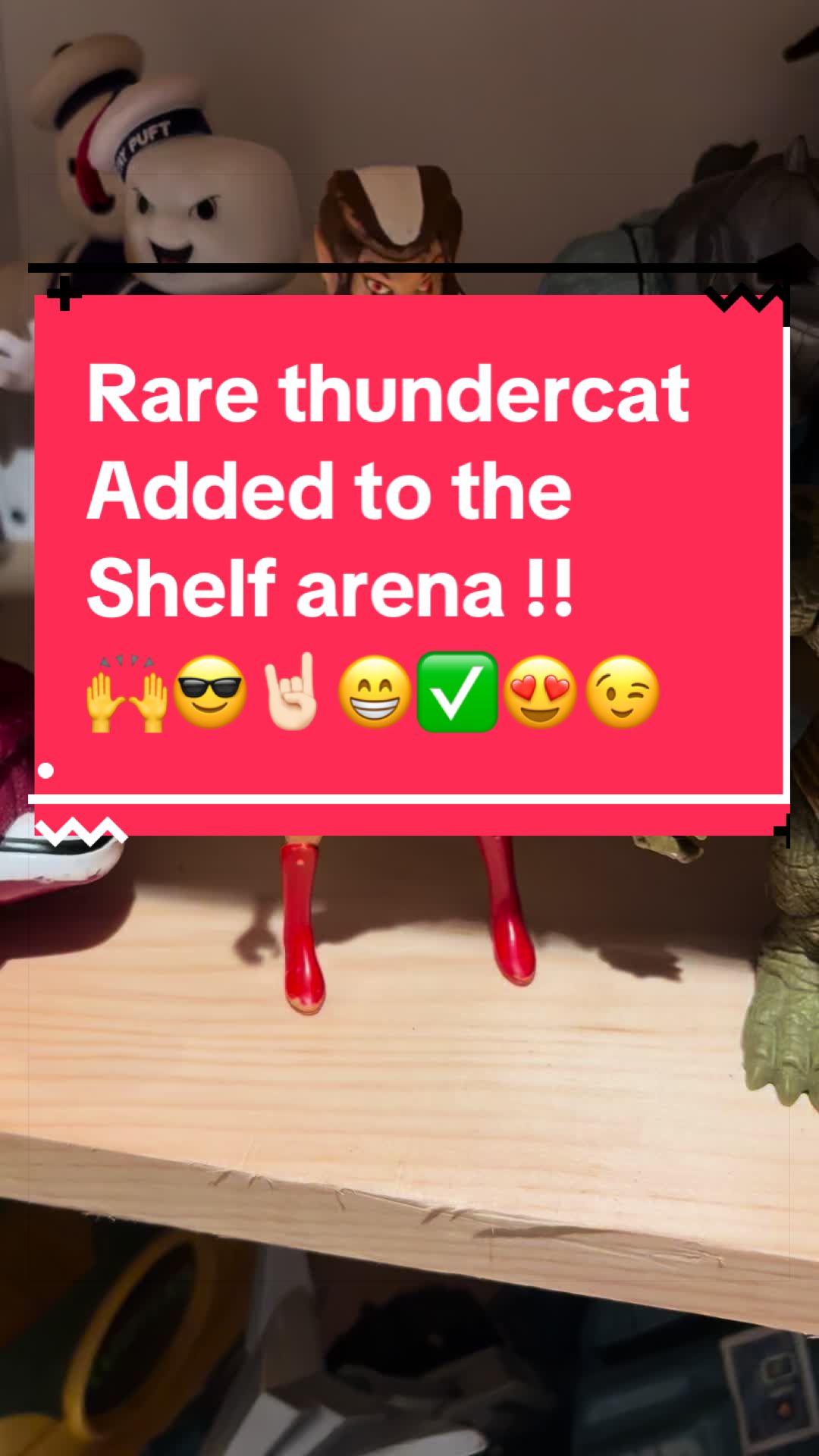 @Shelf Warrior