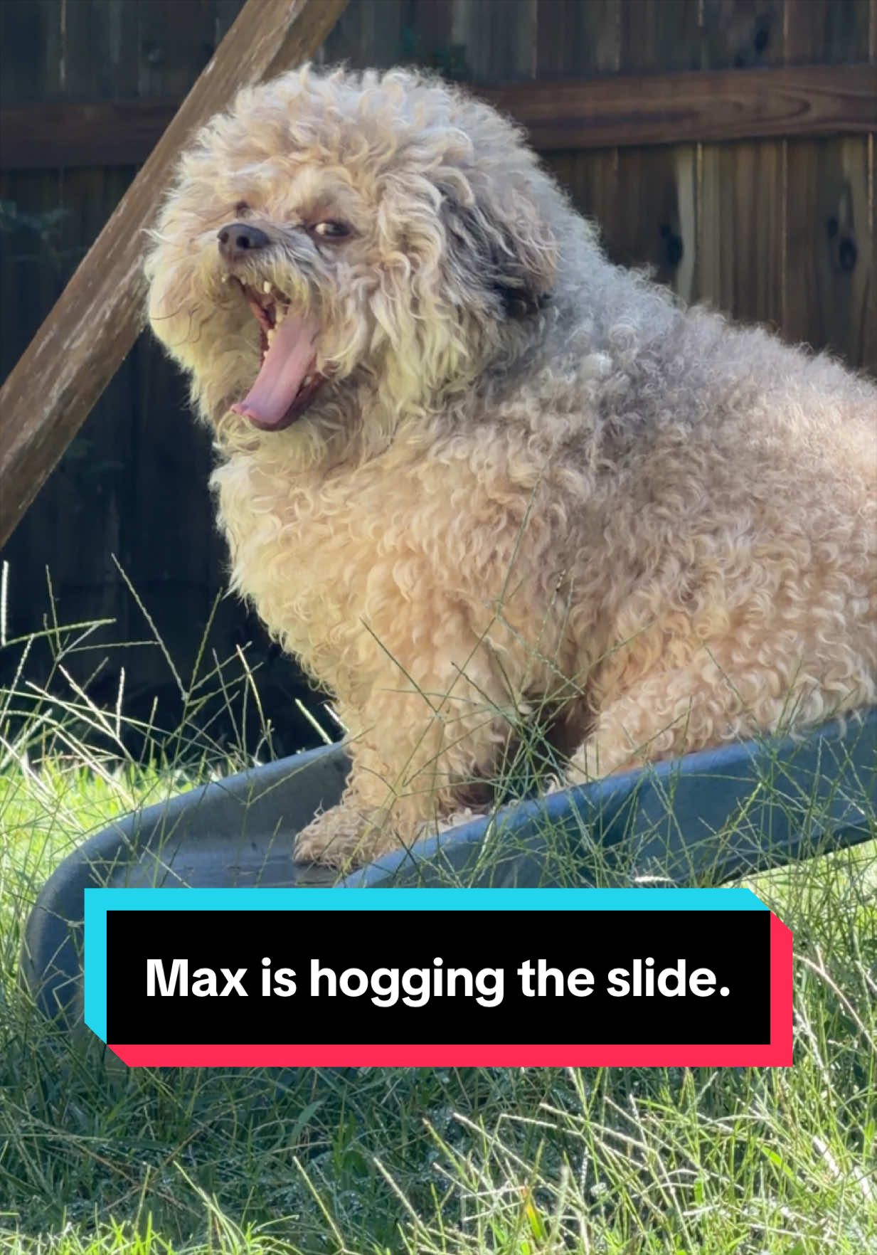 @Lil&rsquo; Max