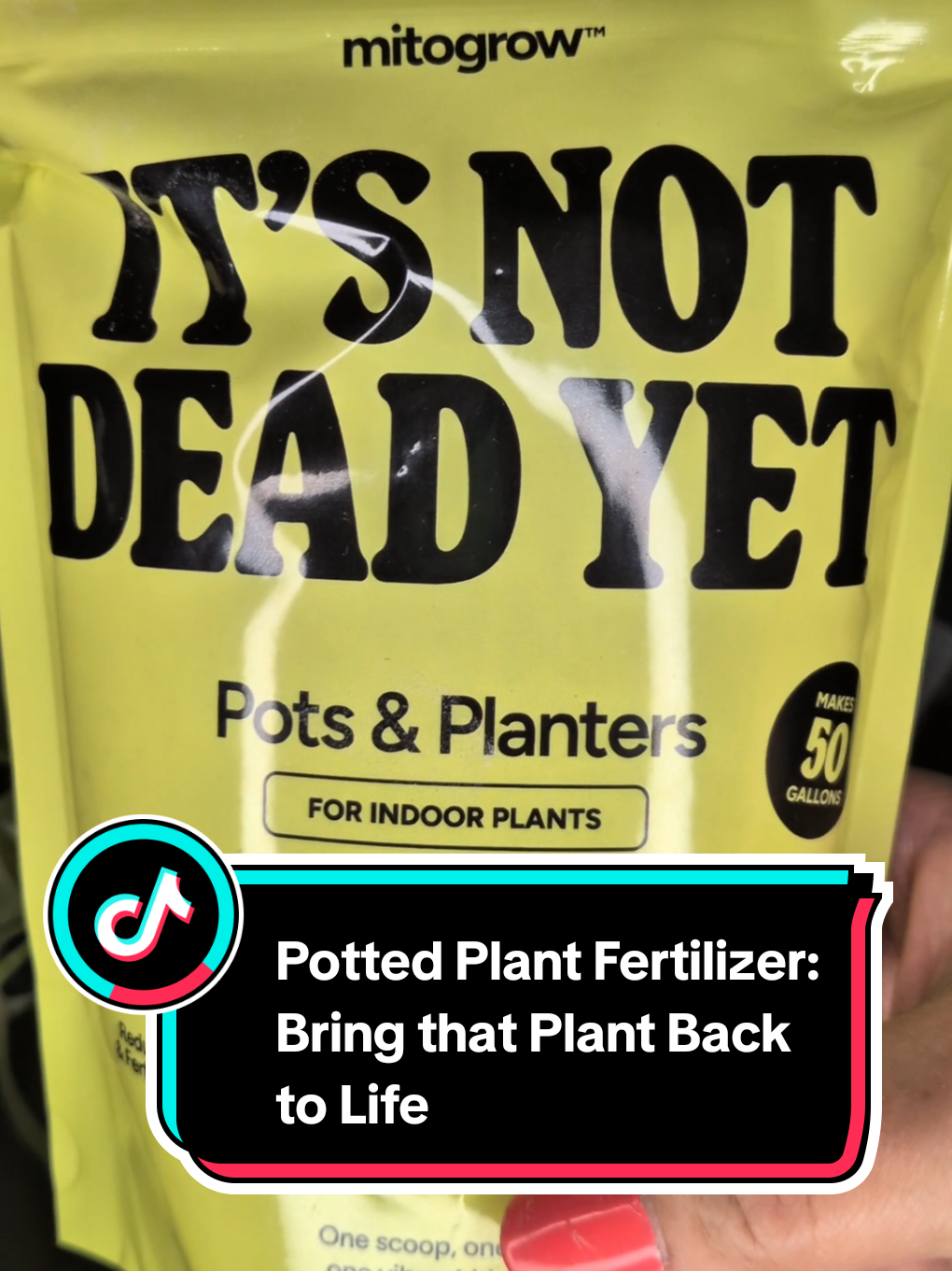 @The Plantiful Gardener