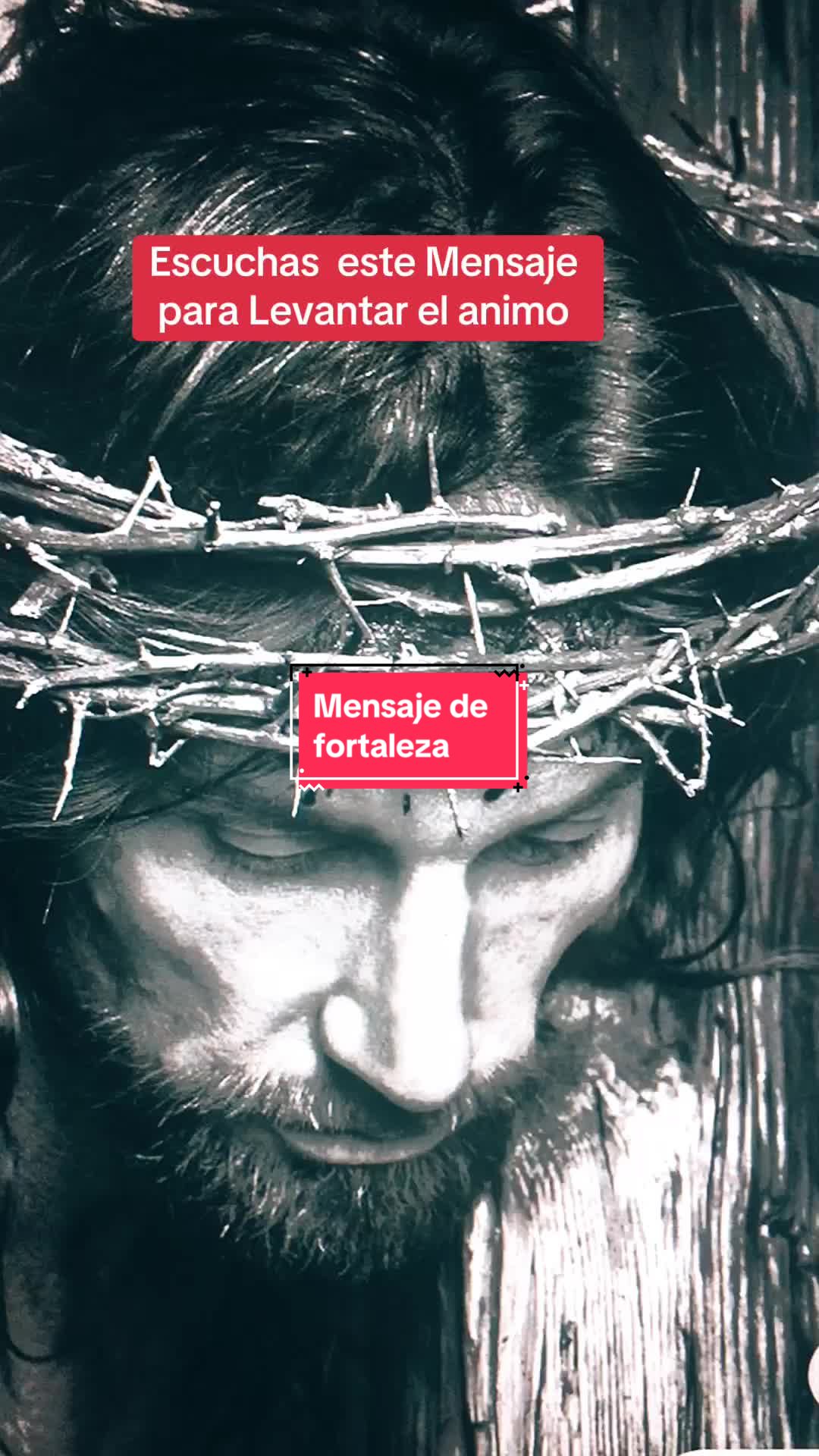 @Marisela Fontanillas