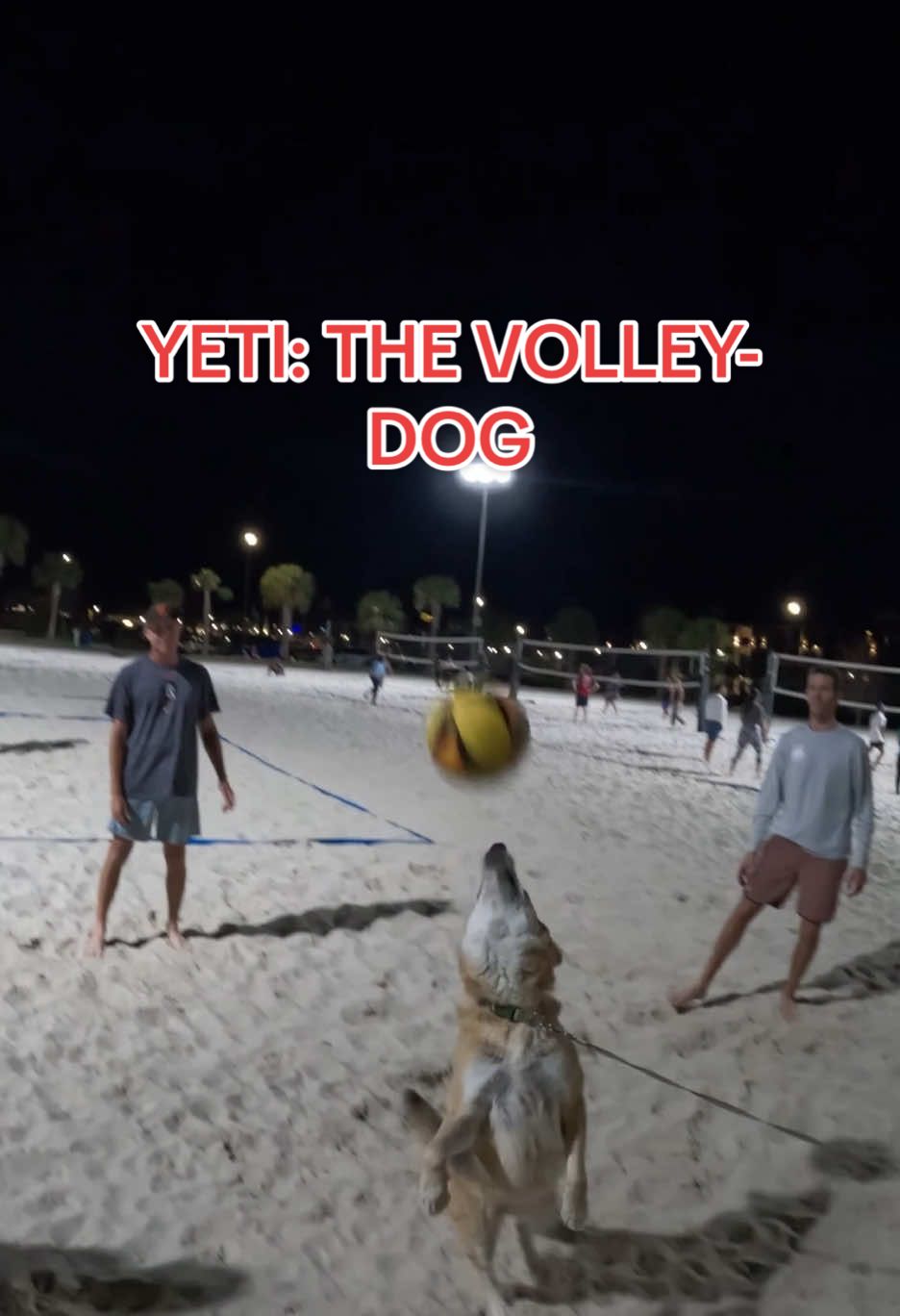@Jared 🏐