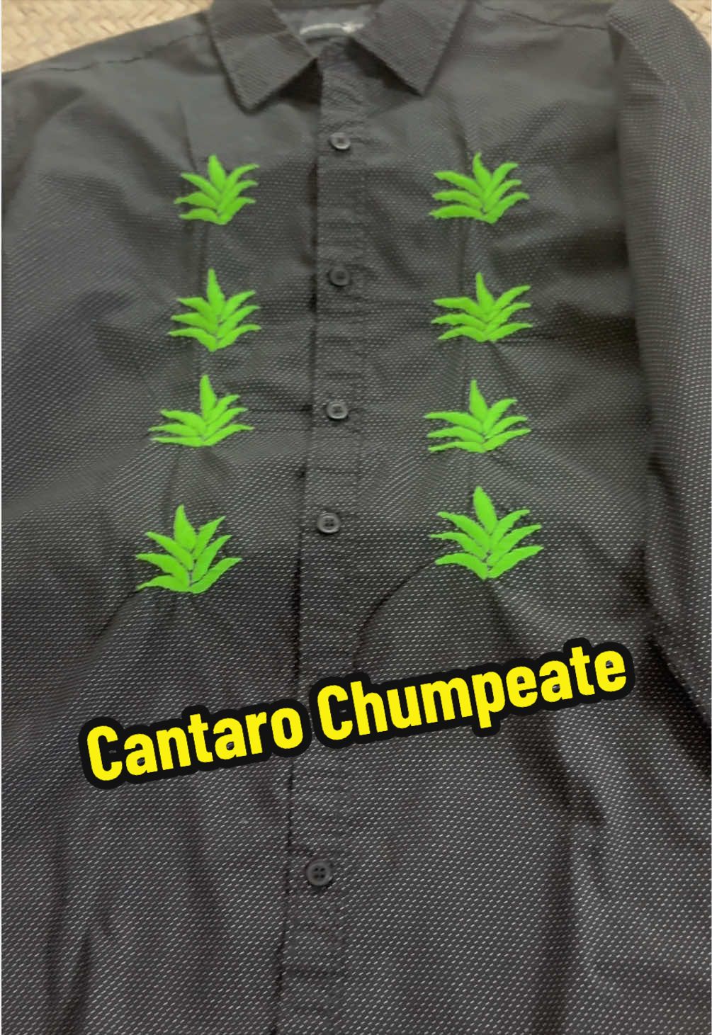 @SonajeroPachanguero