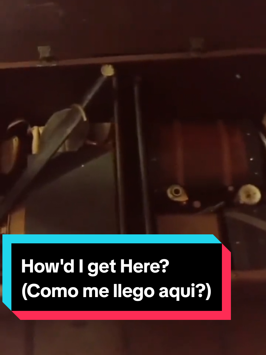 @AlexCalvoIsHaunted