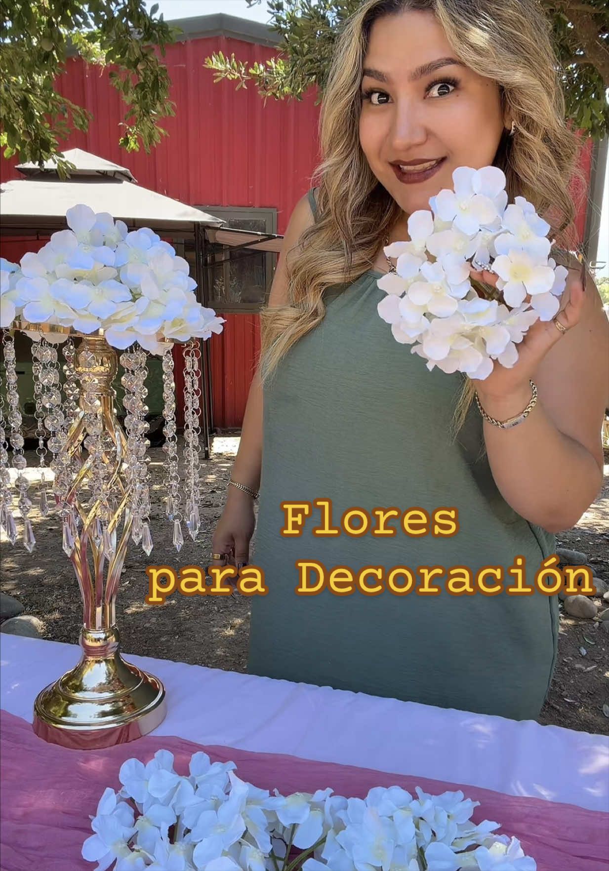 @lupithazzepeda