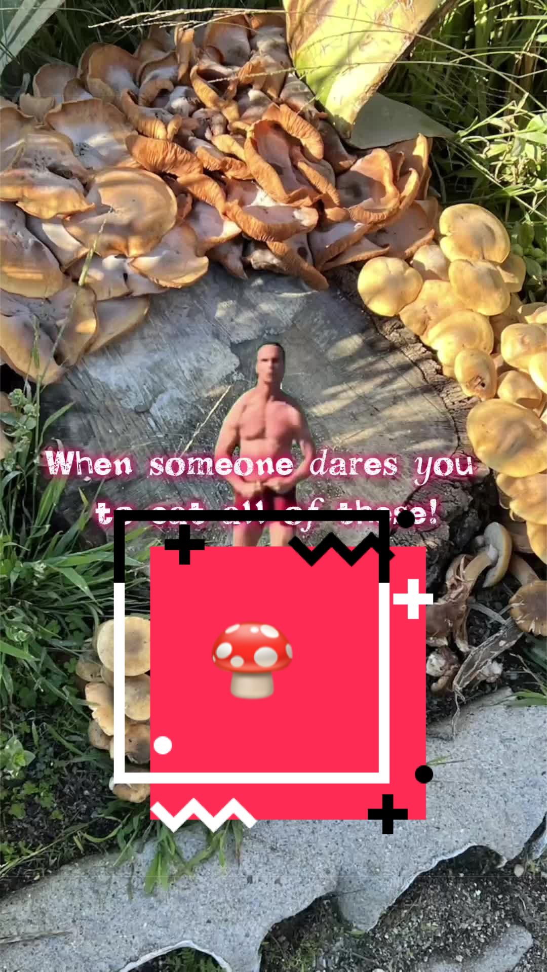 @Based in California